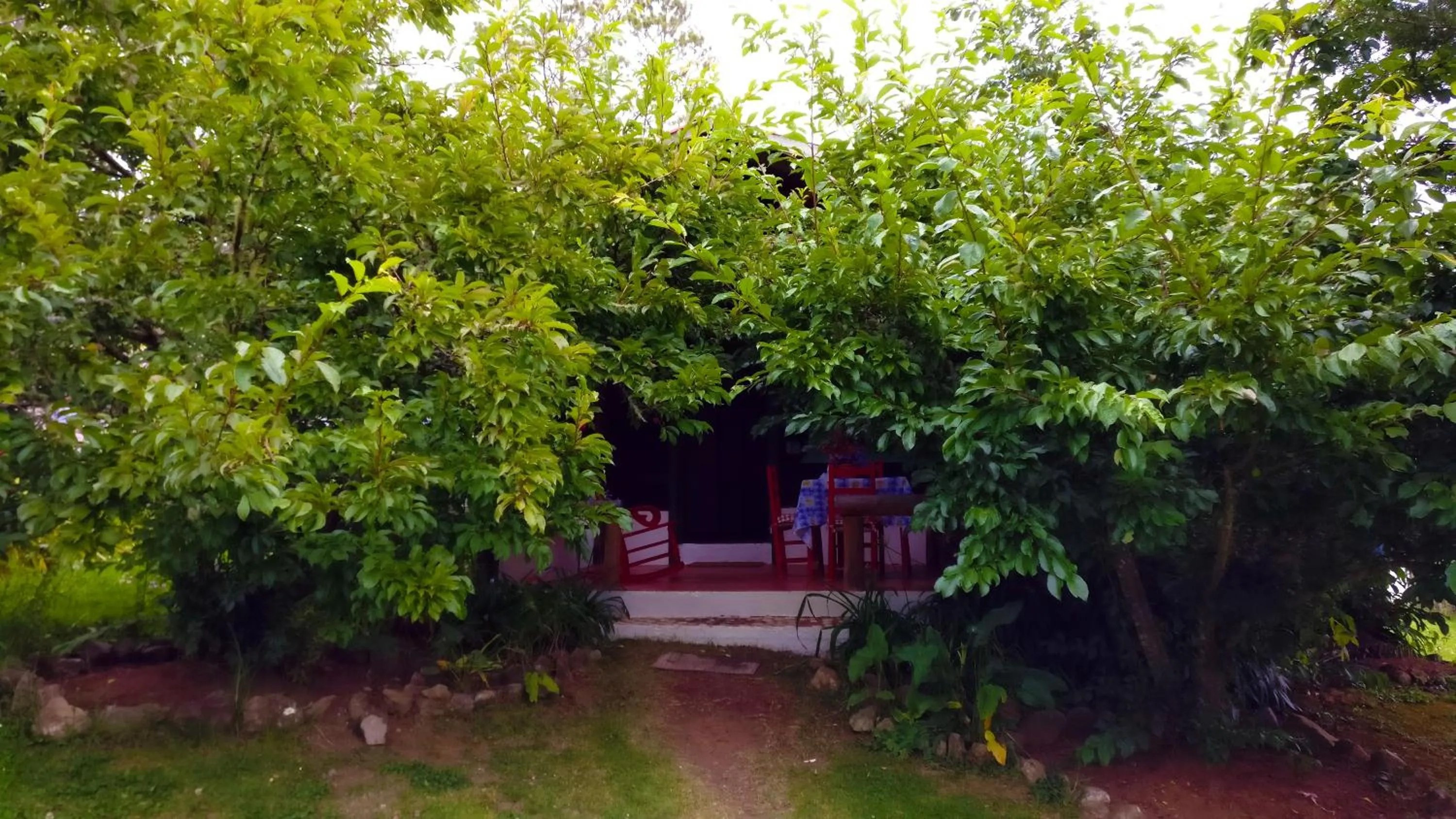 Villa Pajon Eco Lodge