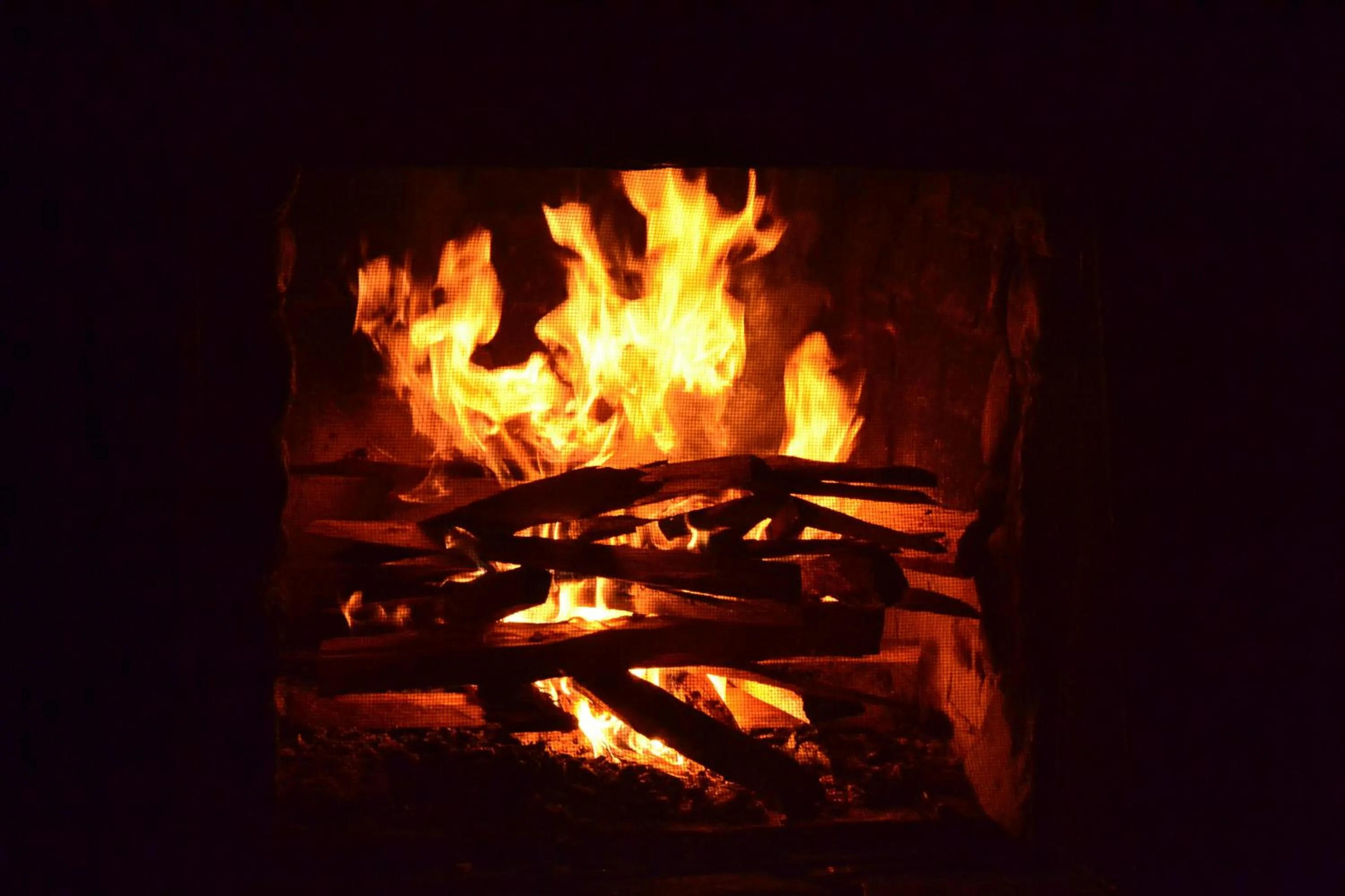 Villa Pajon Eco Lodge