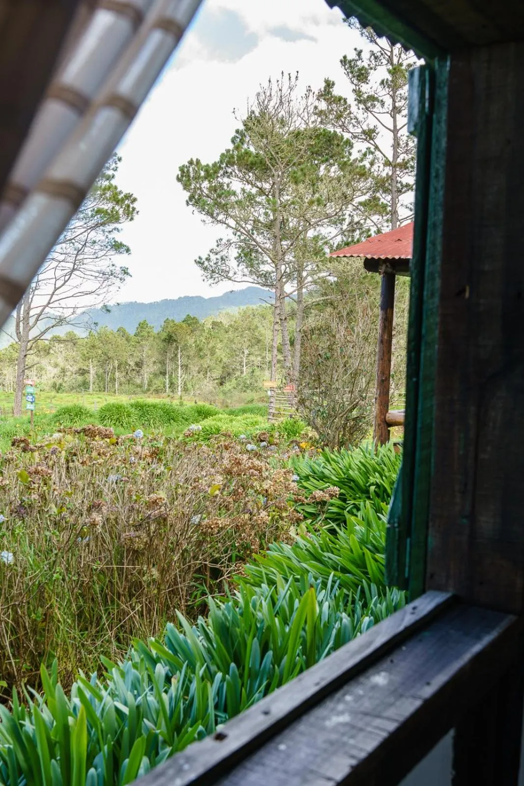 Villa Pajon Eco Lodge