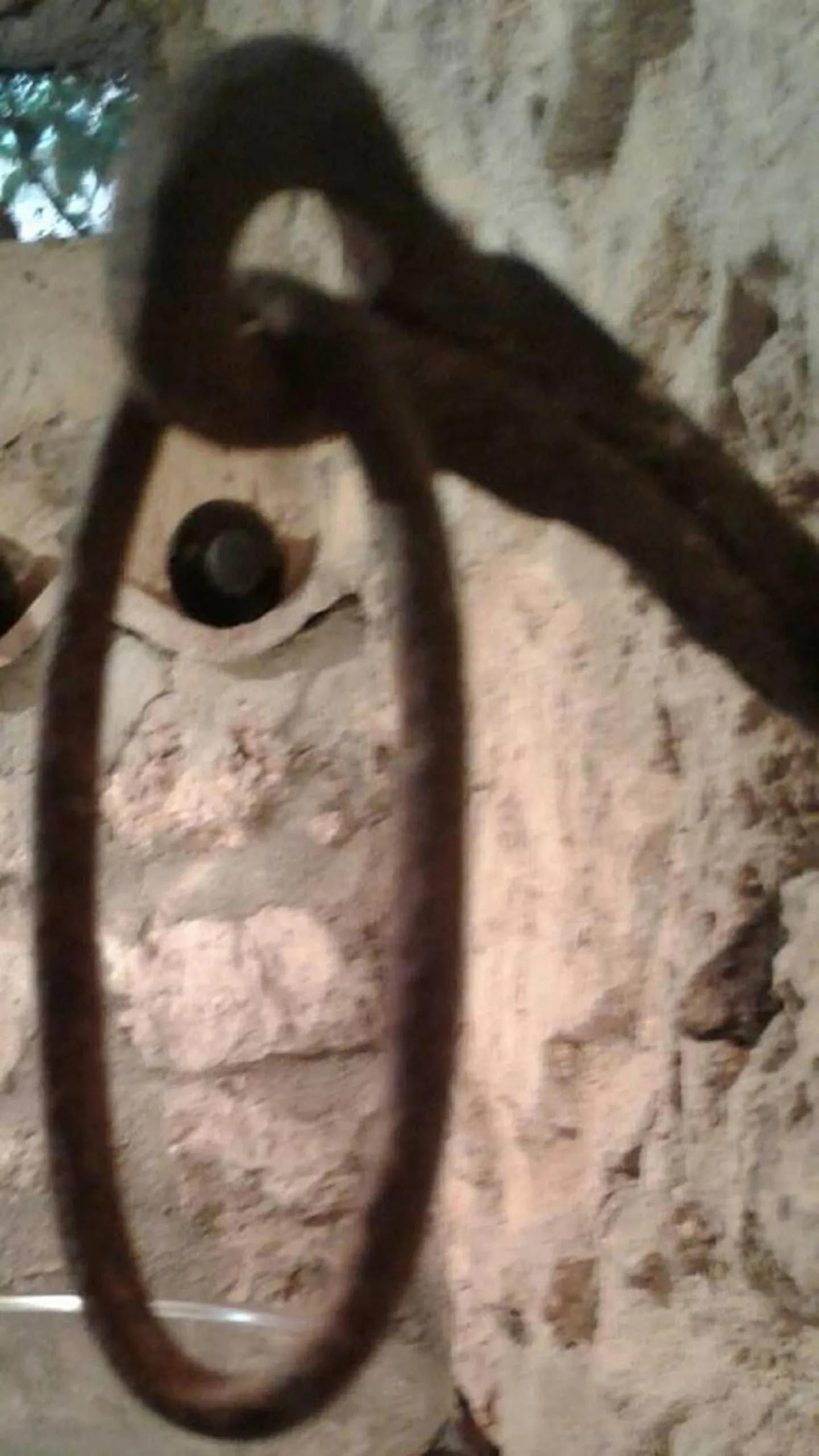 Decorative detail in B&B Il Caùto