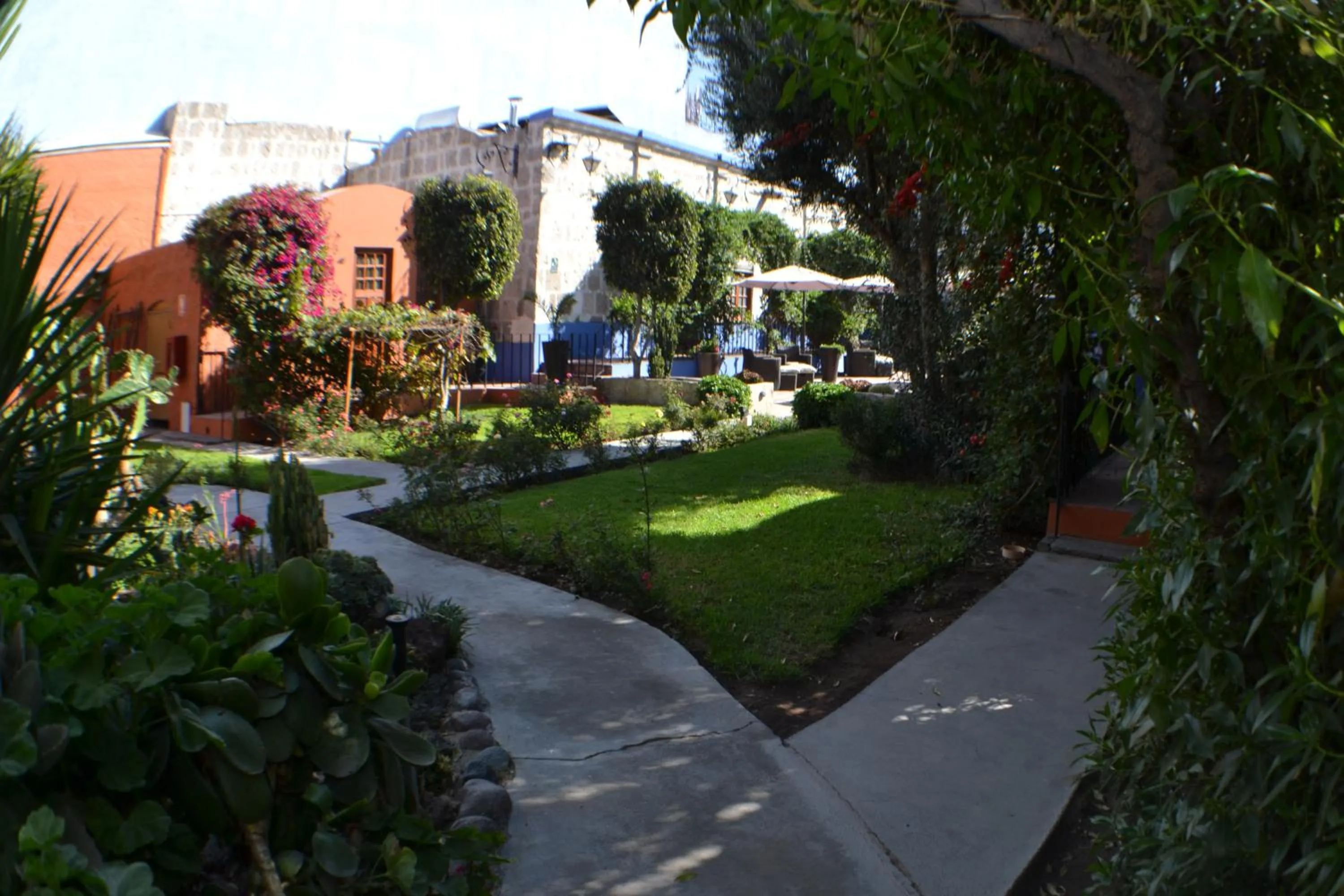 Spring in Hotel Casona Solar