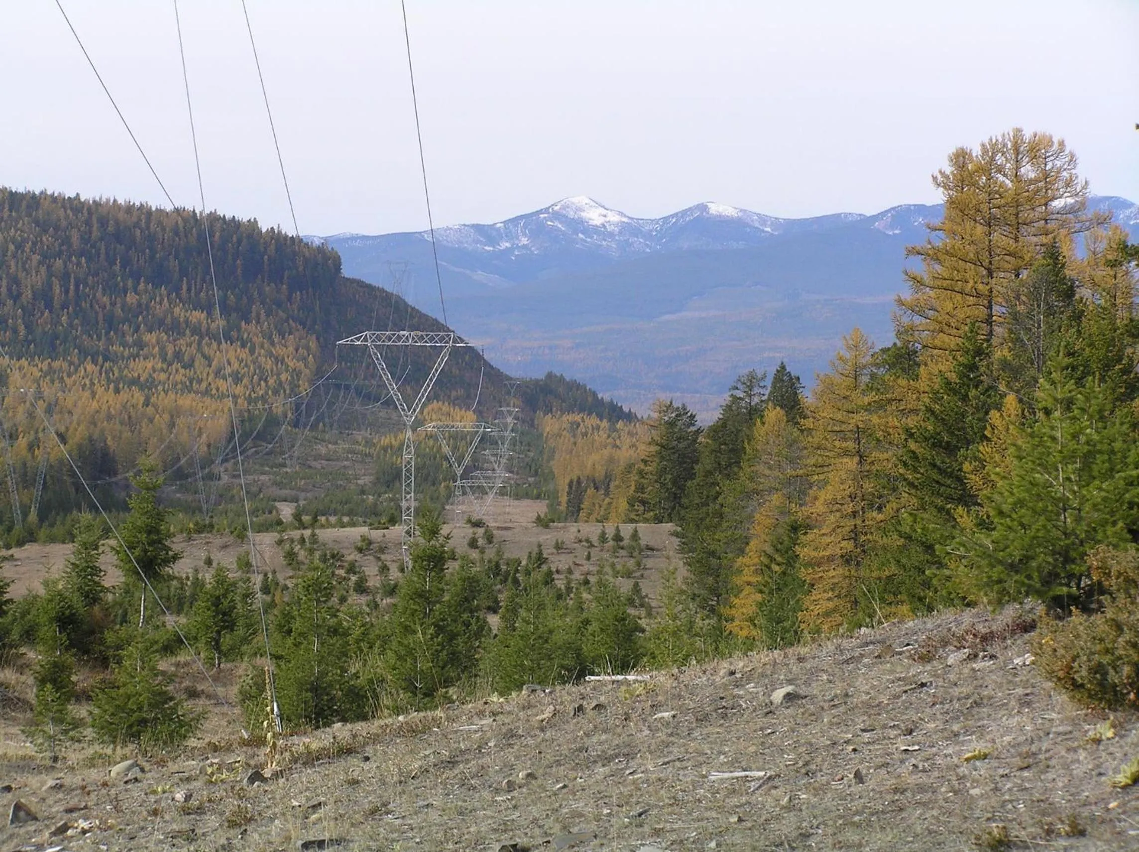 Autumn in End of the road B & B