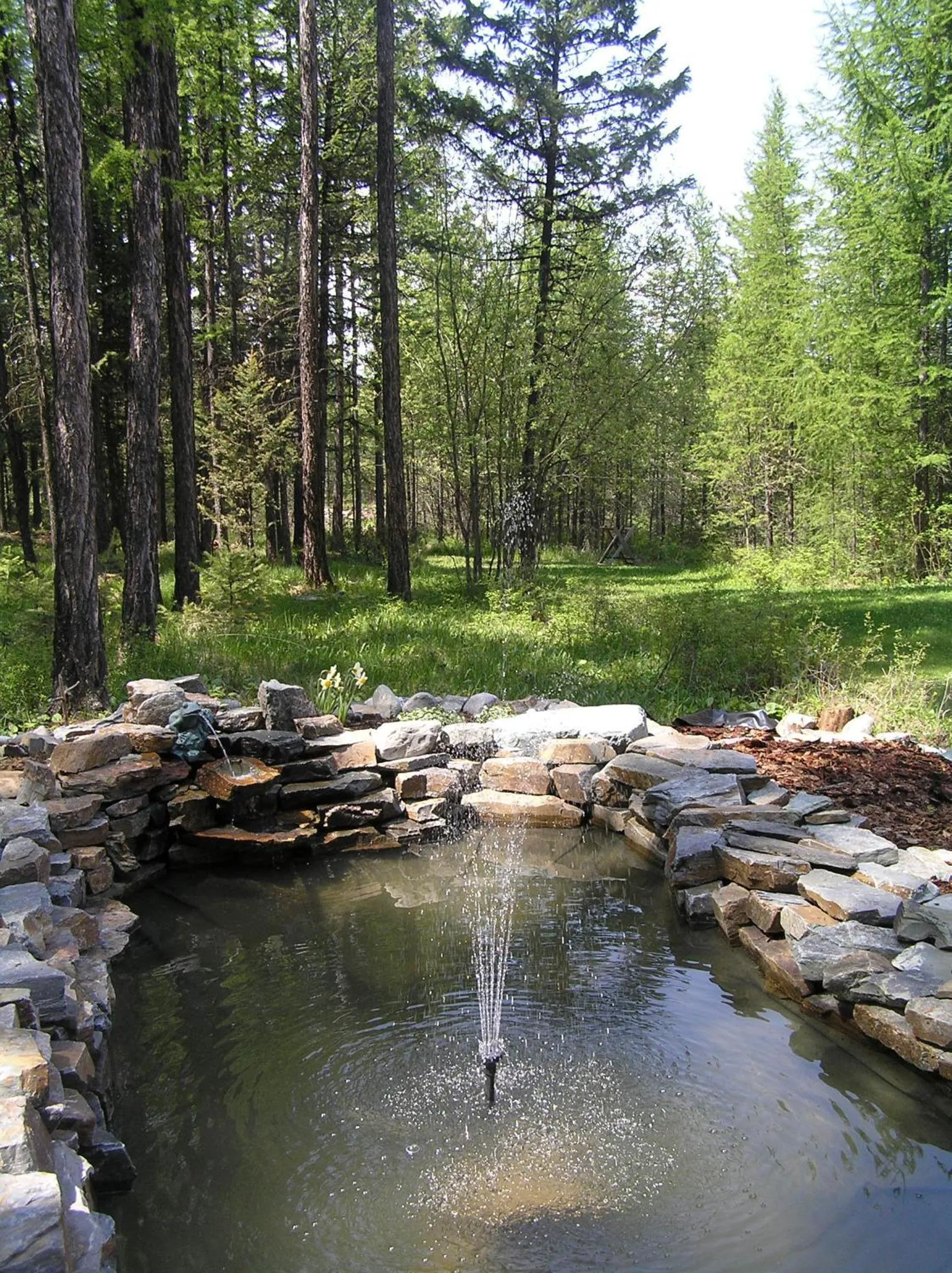 Garden in End of the road B & B