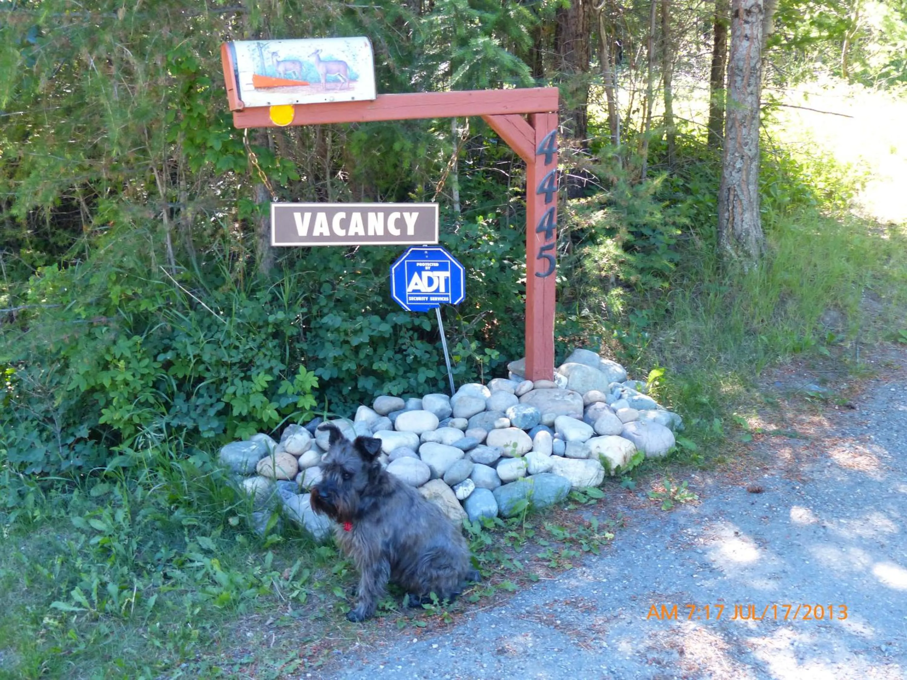 Pets in End of the road B & B