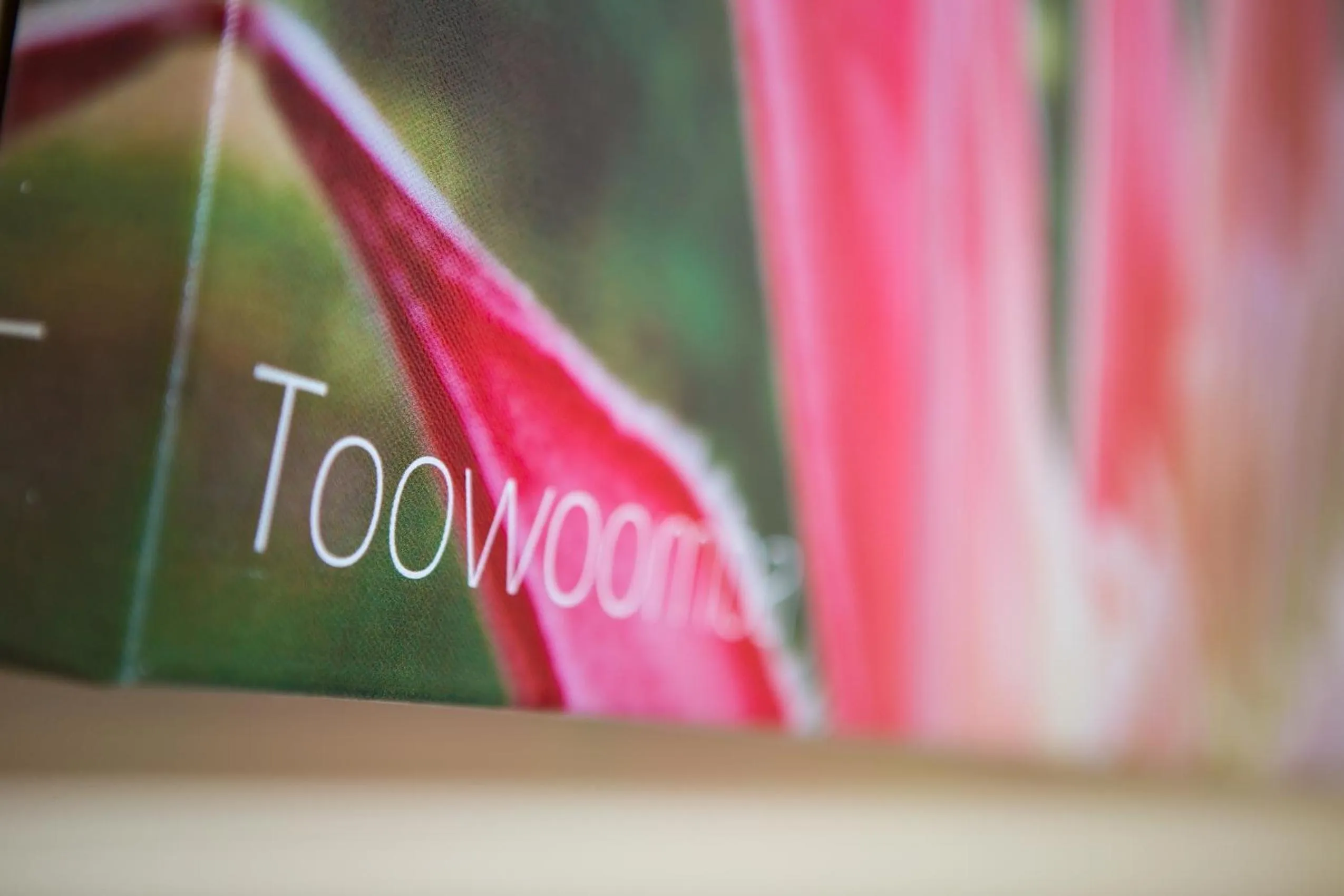 Decorative detail in Downs Motel