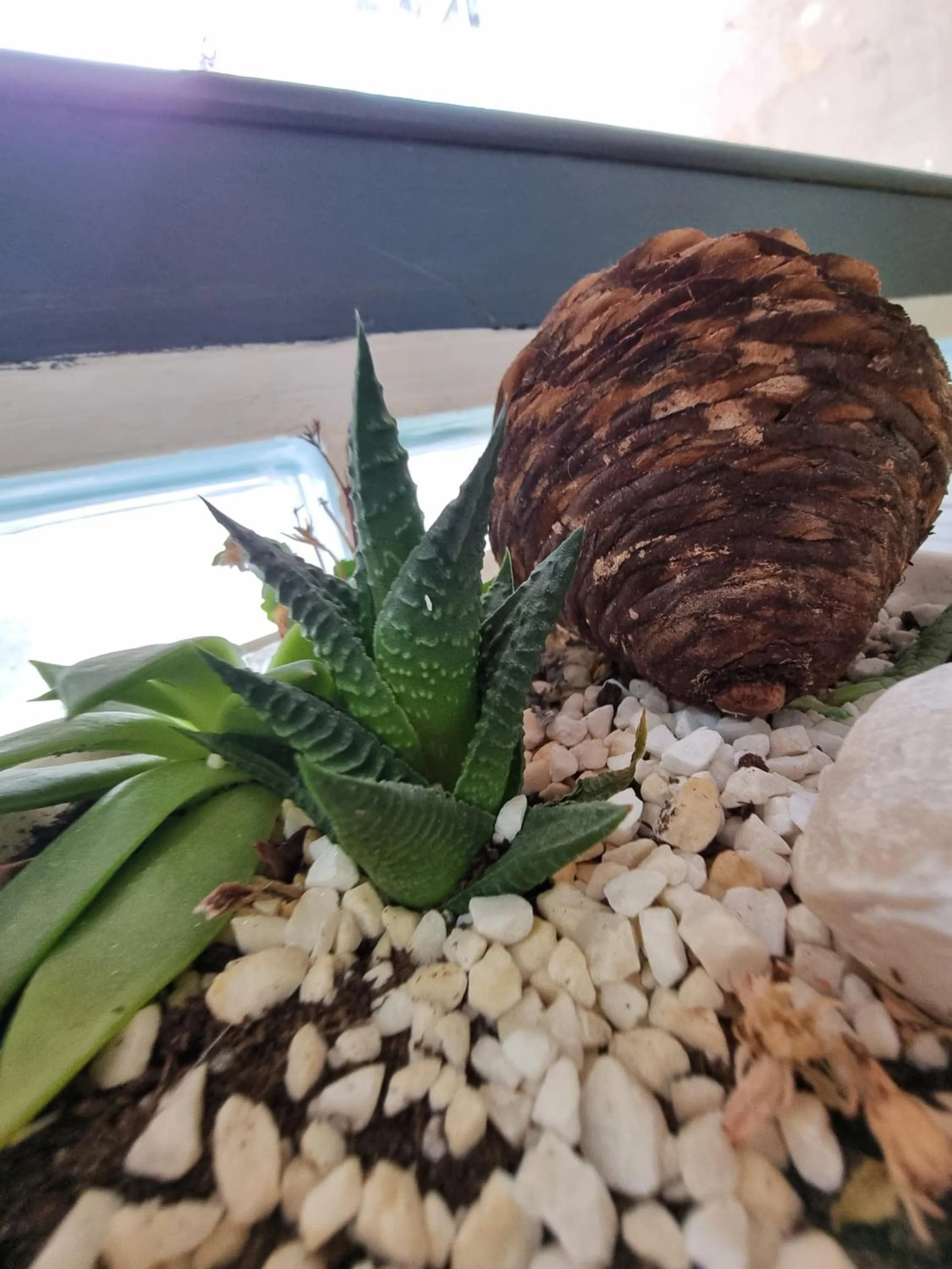 Lobby or reception in Perlo Hotel City