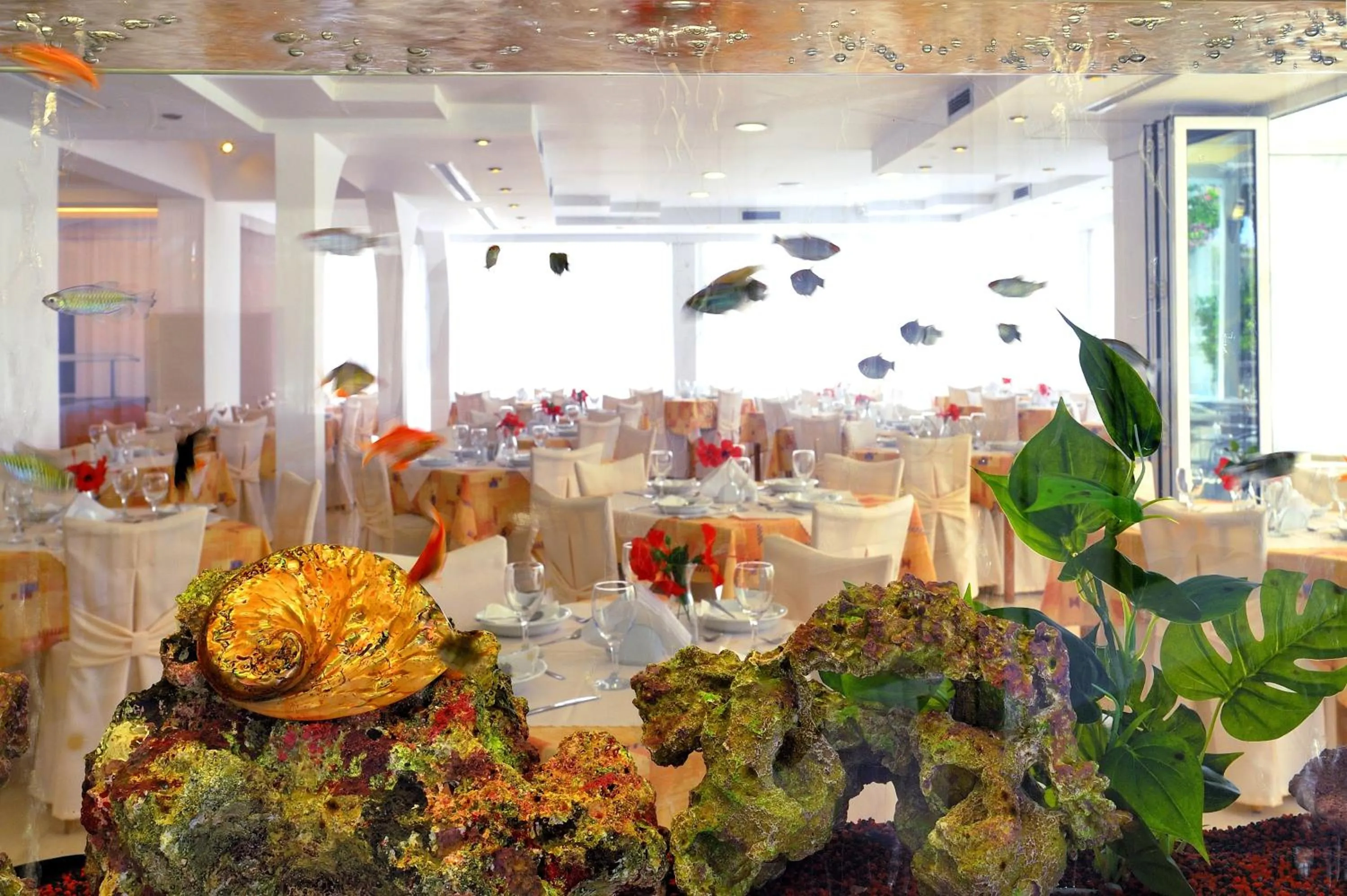 Restaurant/places to eat in Kolymbia Sun