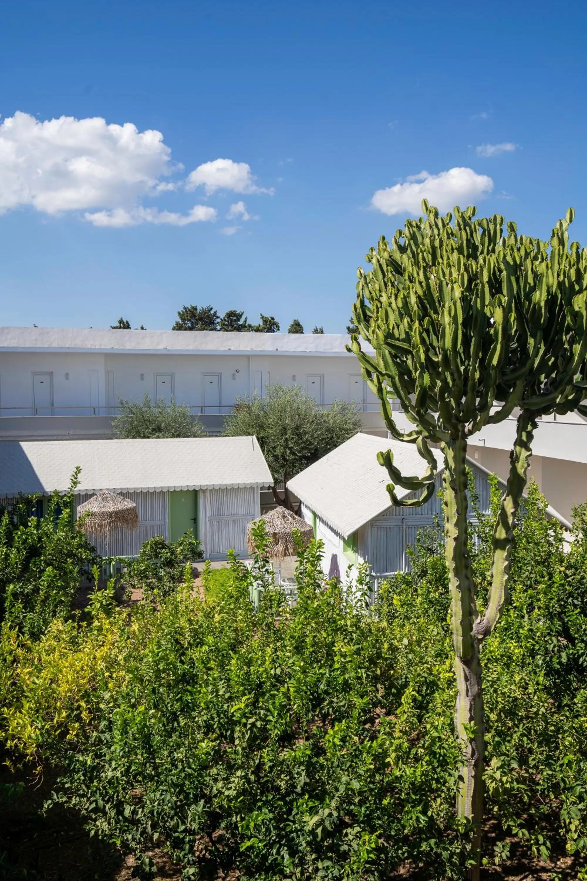 Property building in Kolymbia Sun