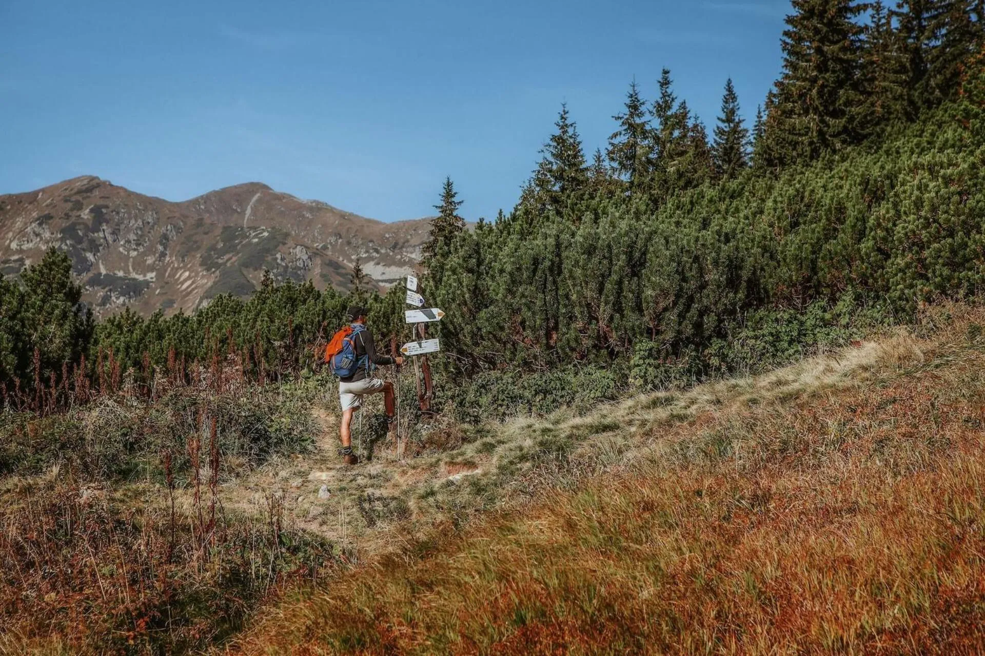 Natural landscape in Hotel Partizán