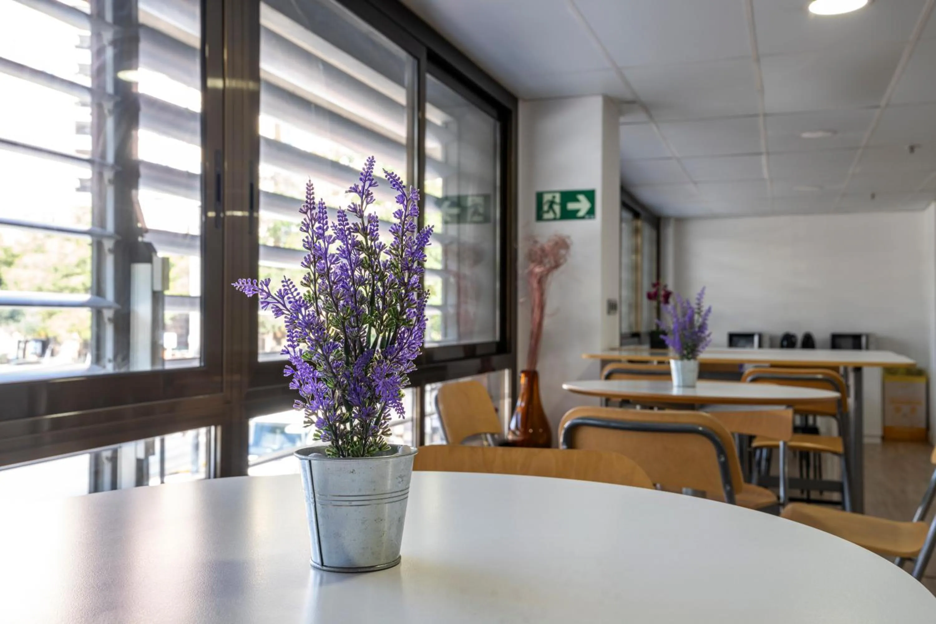 Property building in Hostal Sans