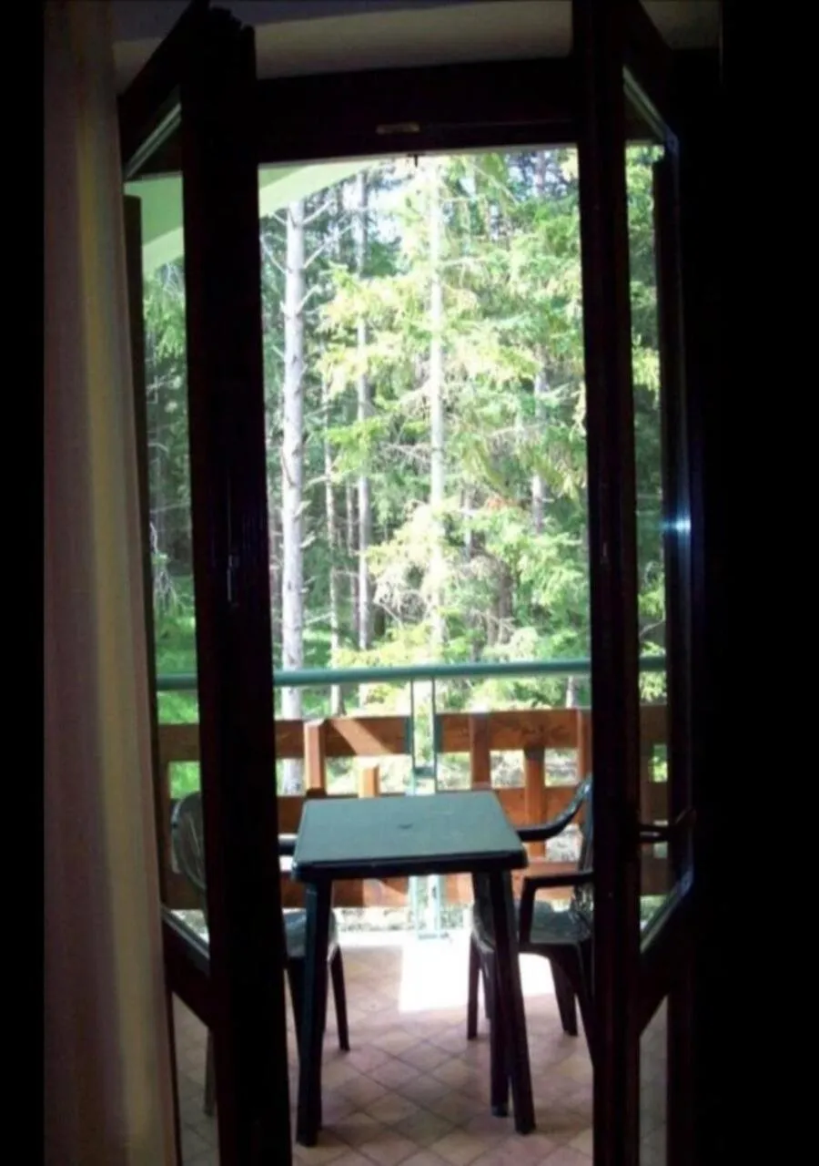 Balcony/Terrace in Hotel Alisma