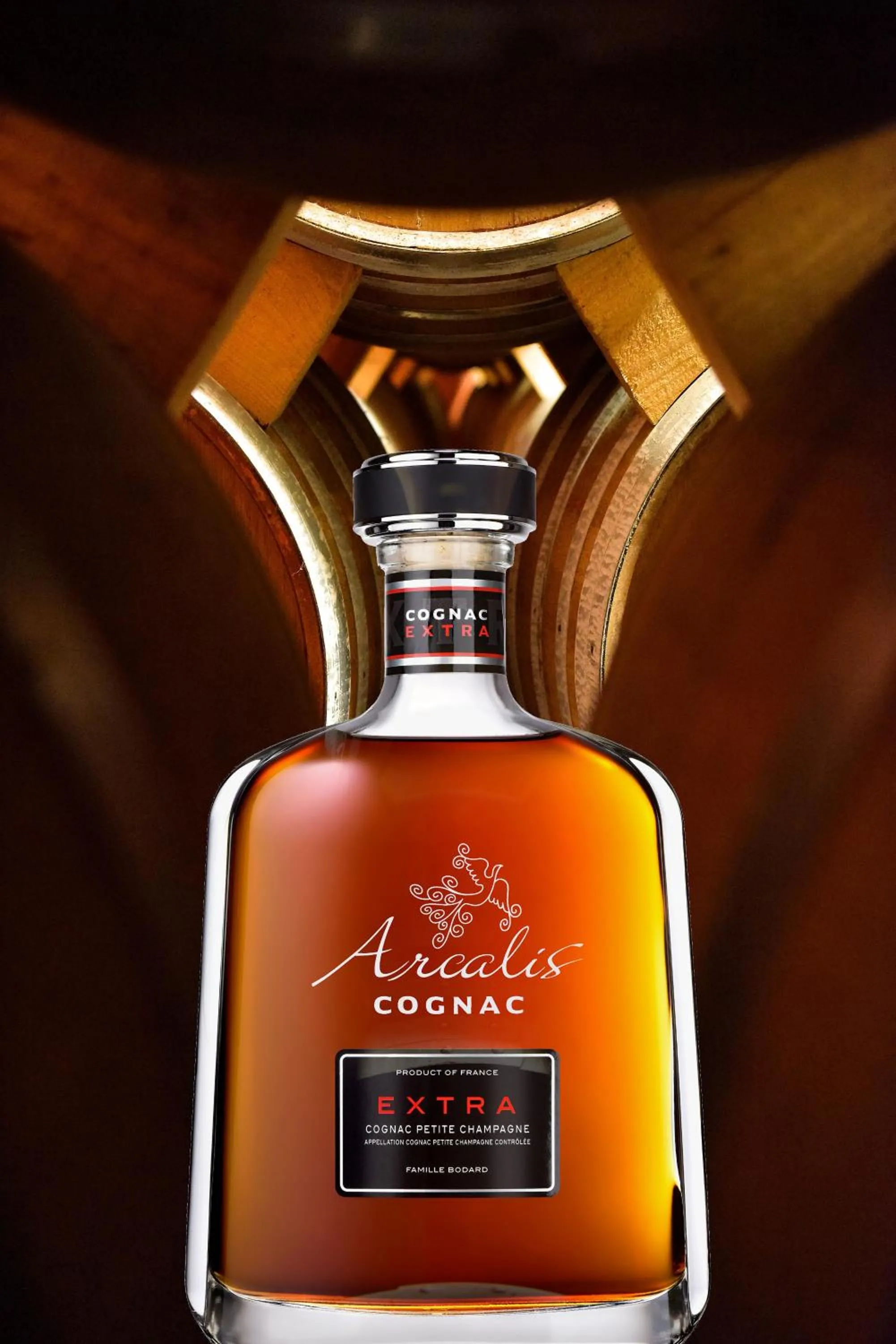 Activities in domaine d' Arcalis