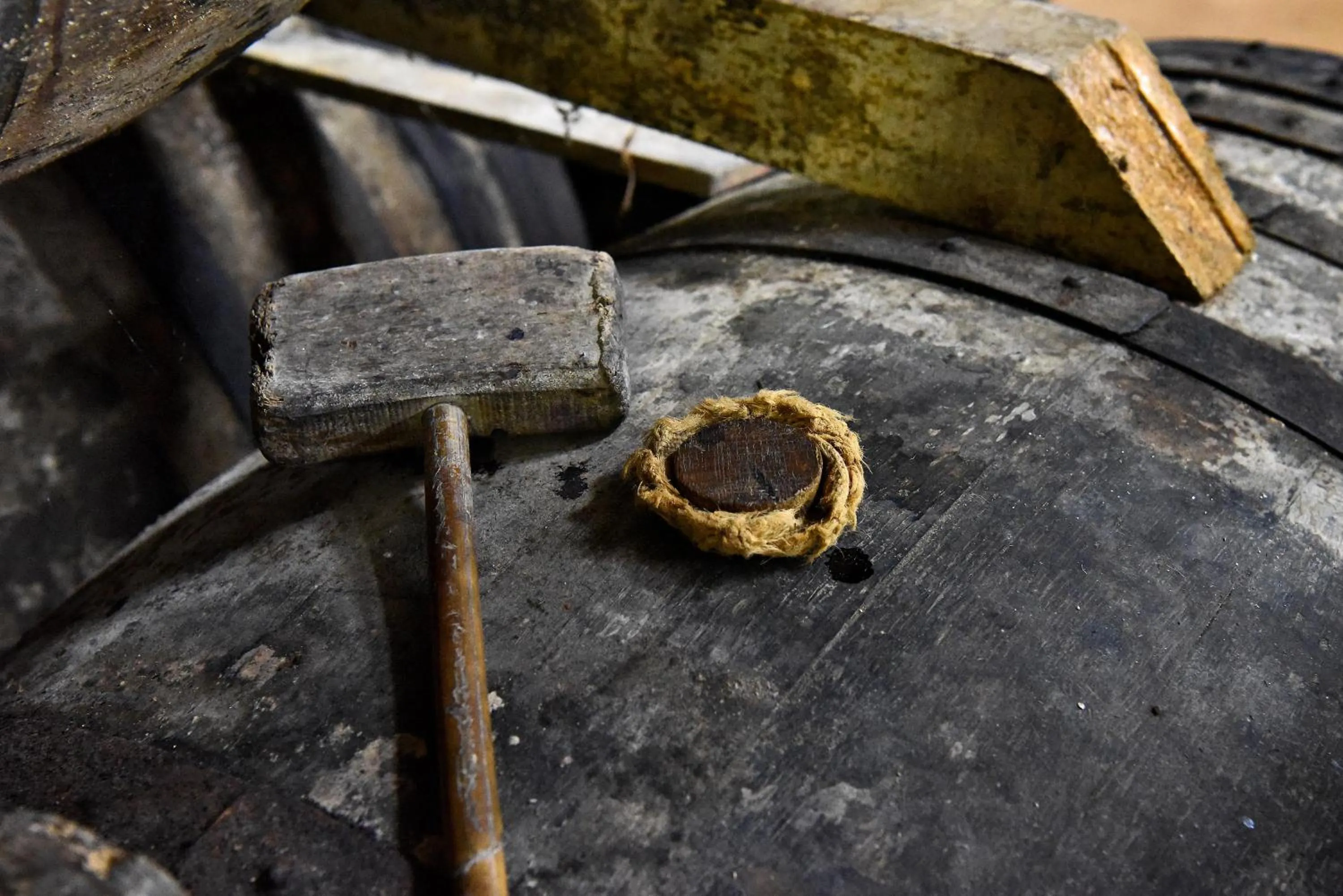 Activities in domaine d' Arcalis