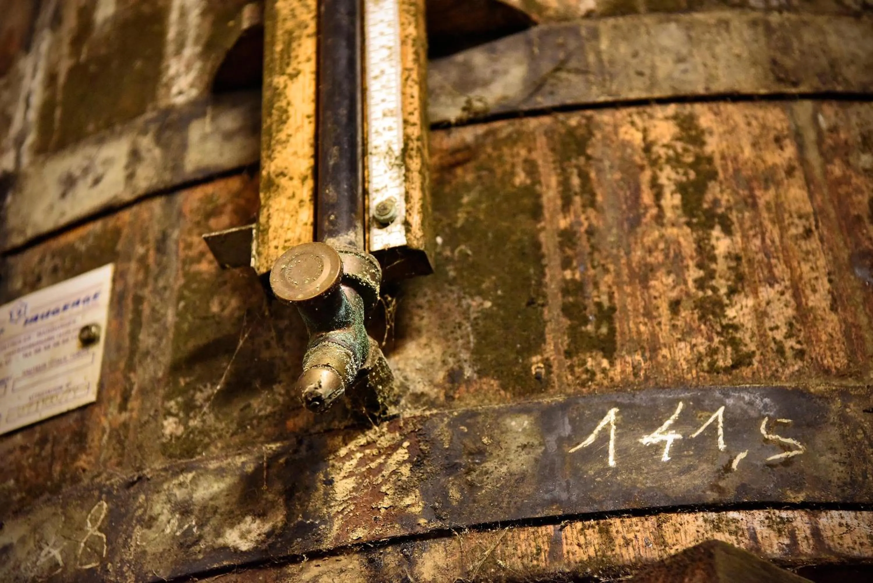 Activities in domaine d' Arcalis