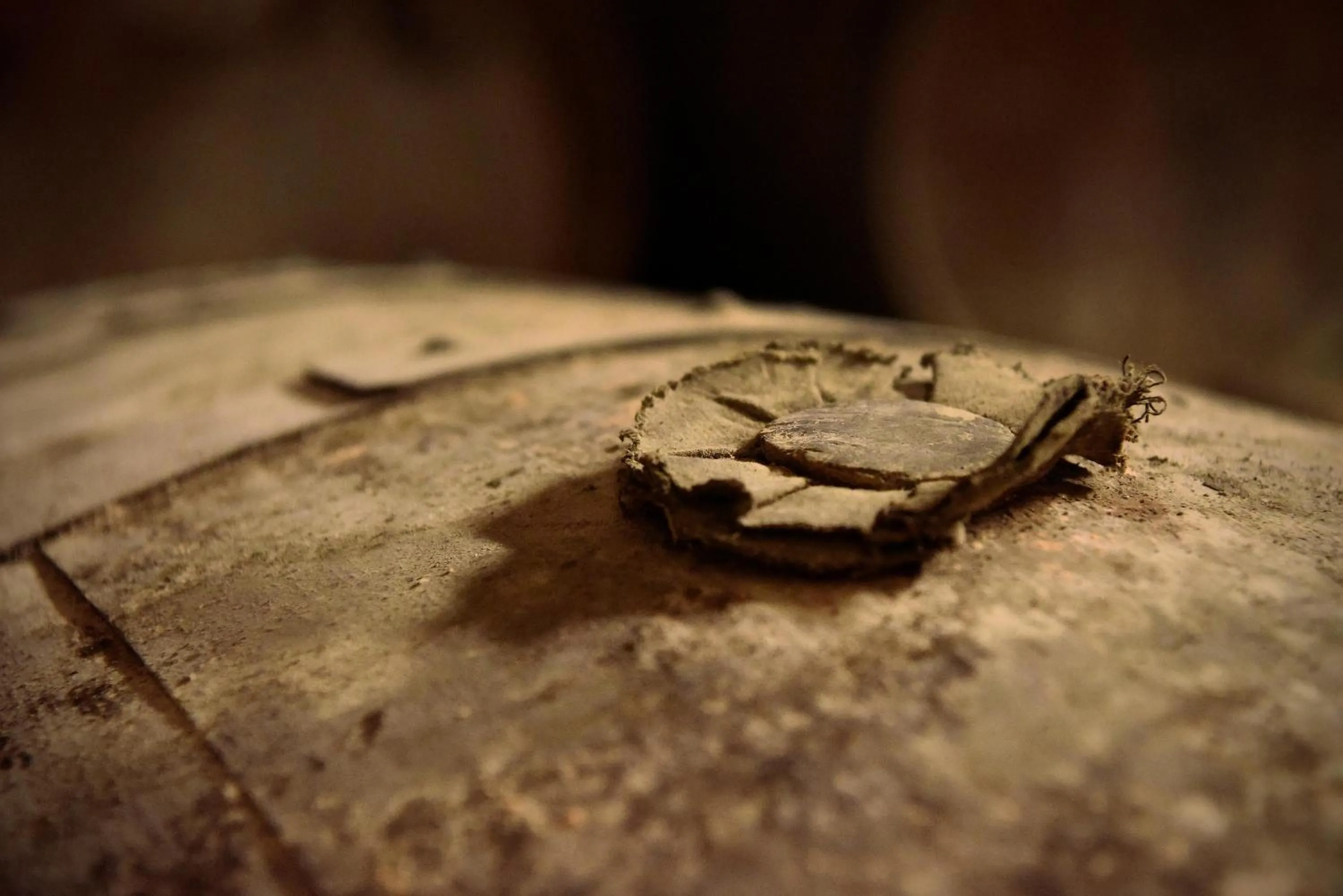 Activities in domaine d' Arcalis