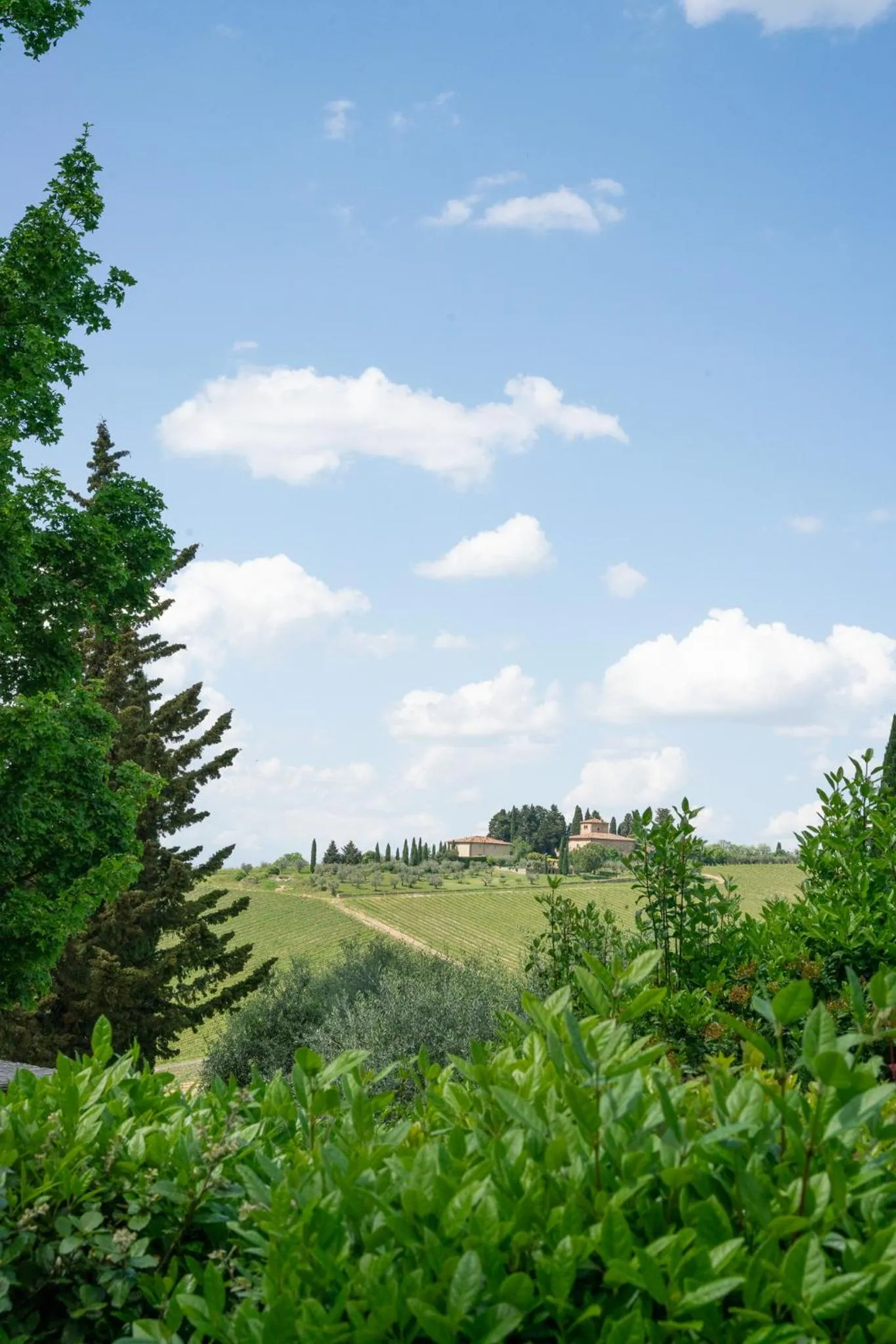Property building in Fonte De' Medici