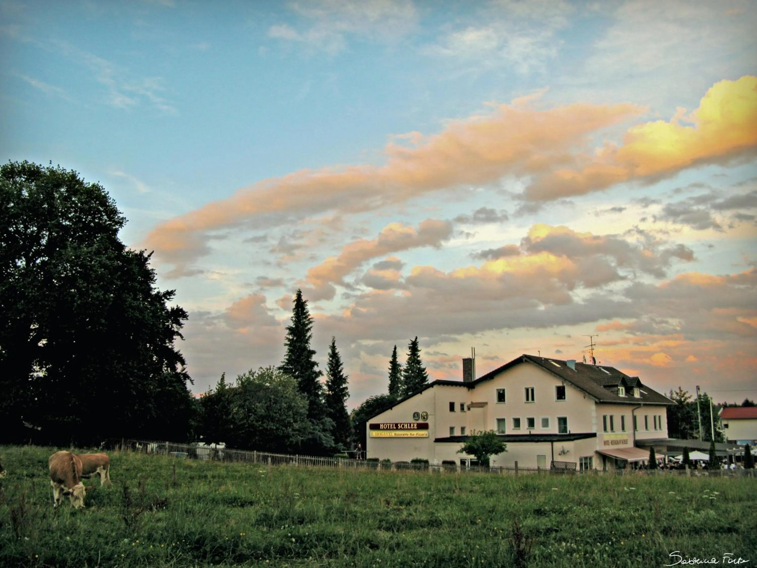 Facade/entrance in Hotel Schlee