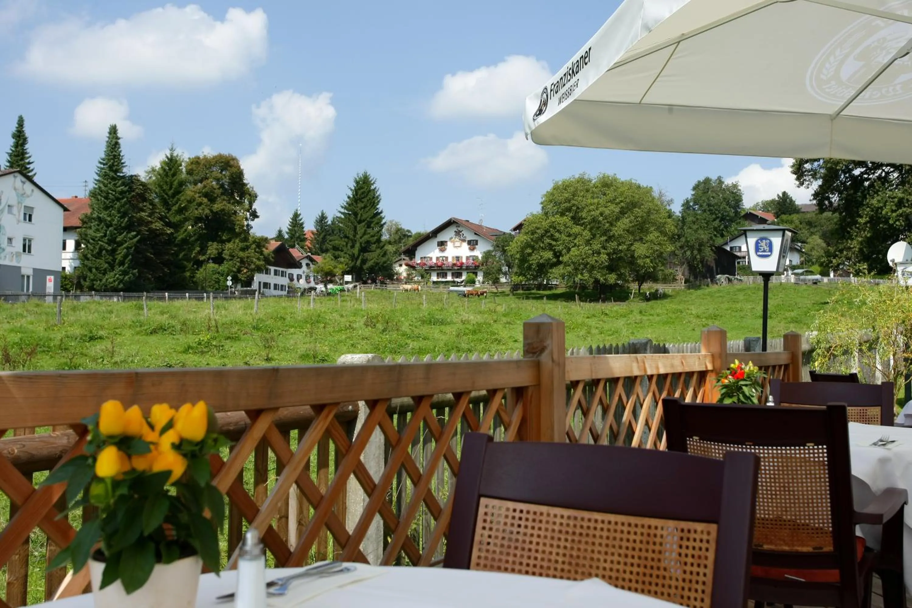 Garden in Hotel Schlee