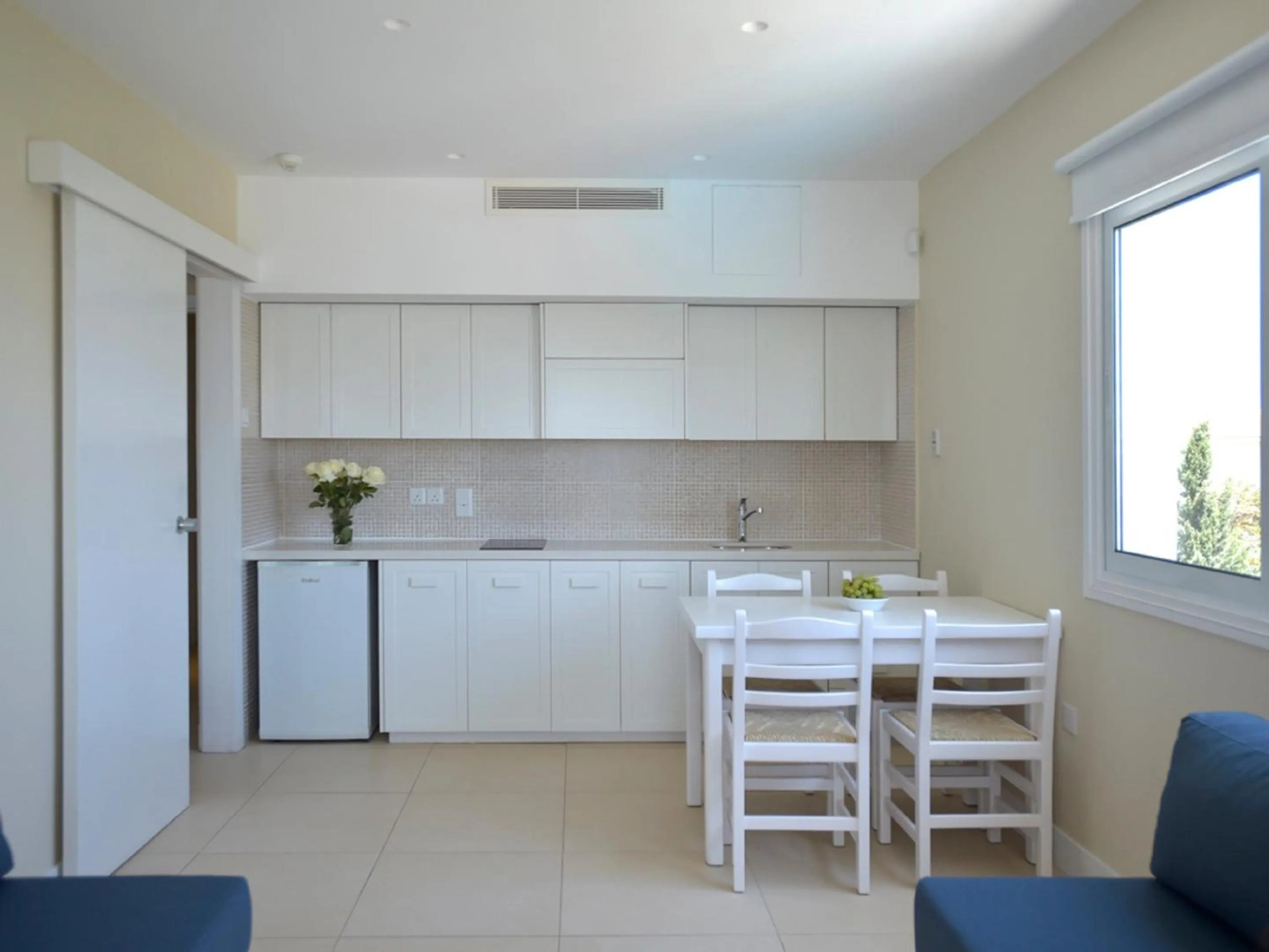 Kitchen or kitchenette in Sunrise Gardens Aparthotel