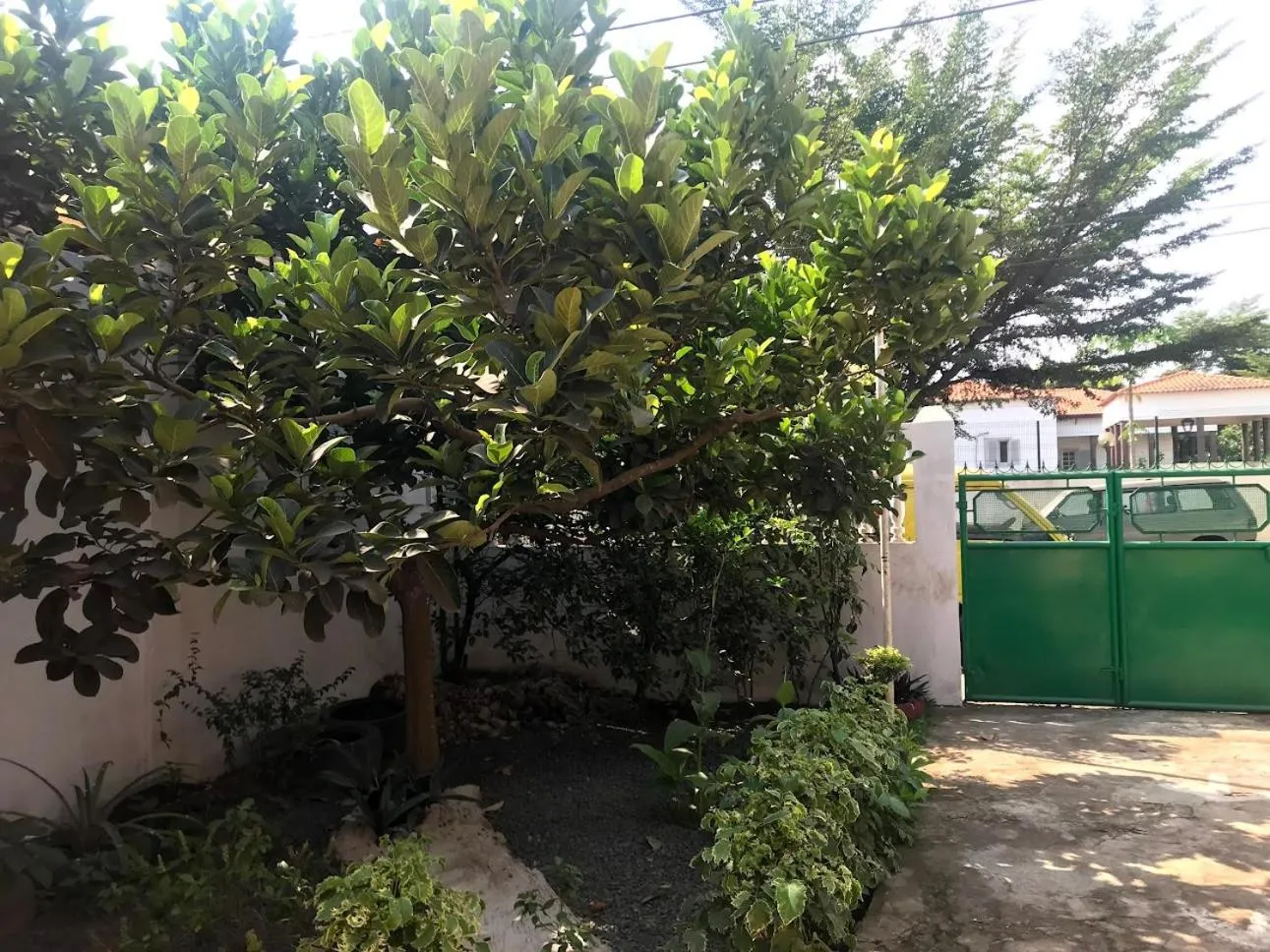 Garden in Casa de Ferias