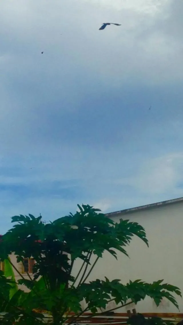 View (from property/room) in Casa de Ferias