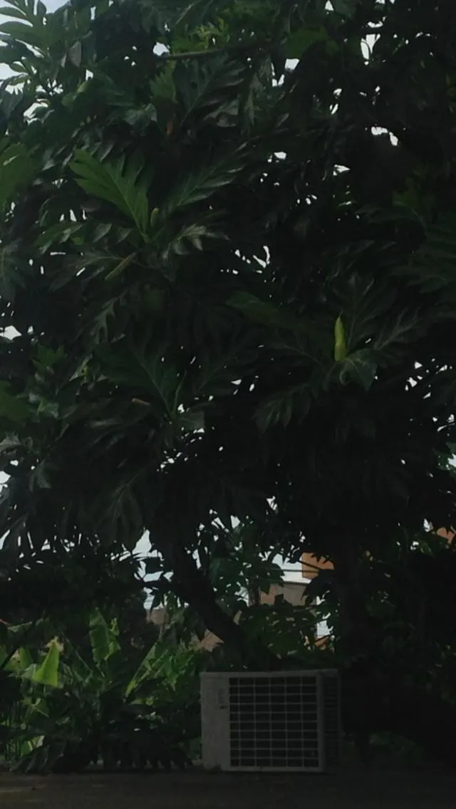 View (from property/room) in Casa de Ferias