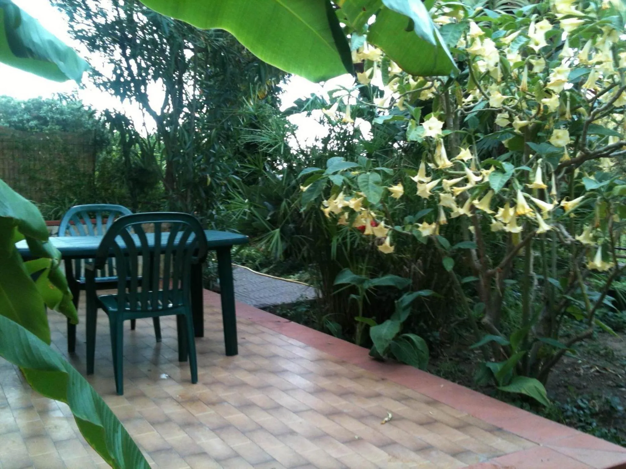 Patio in Stanza in Villa con giardino vista mare