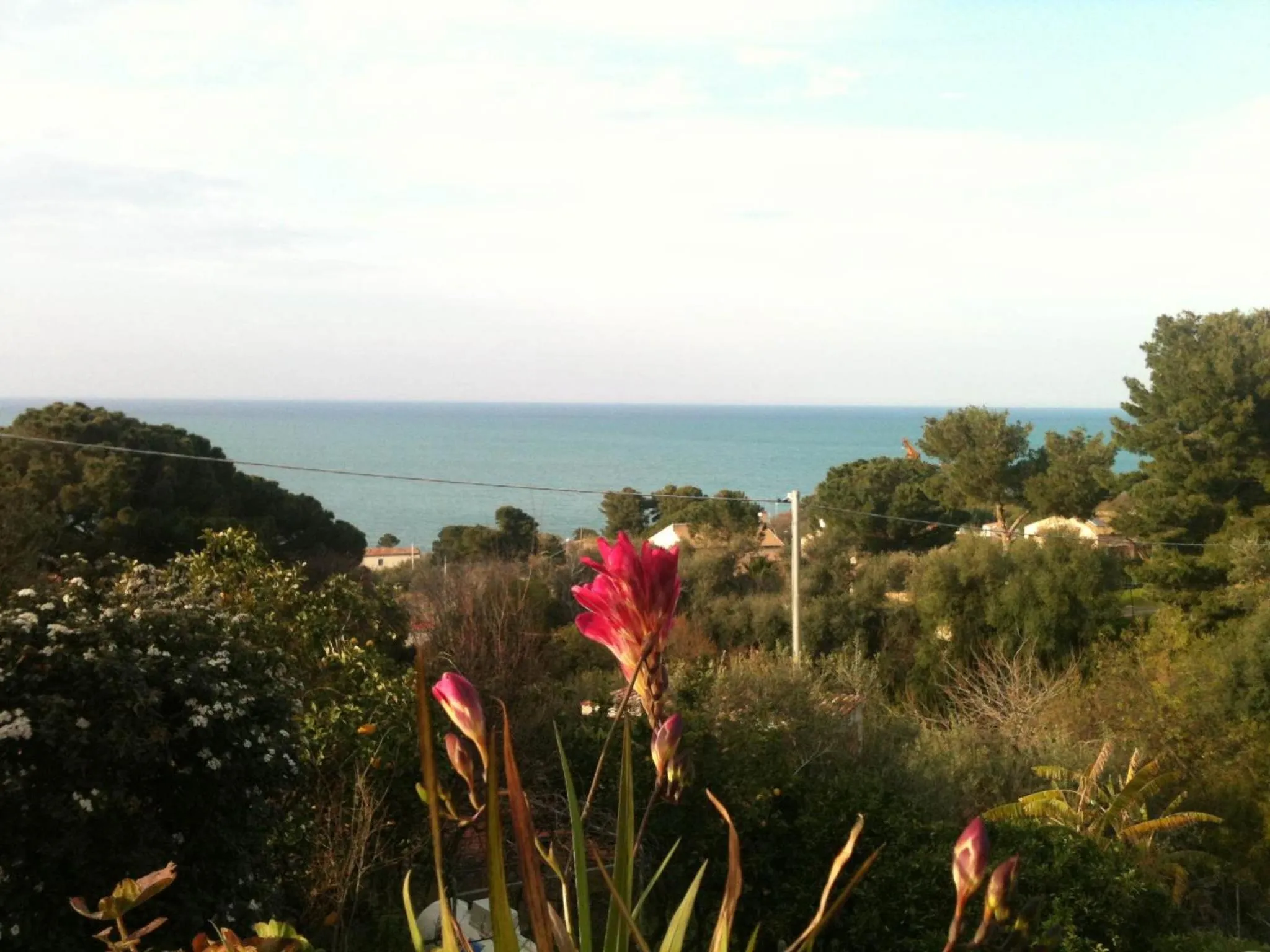 Garden in Stanza in Villa con giardino vista mare