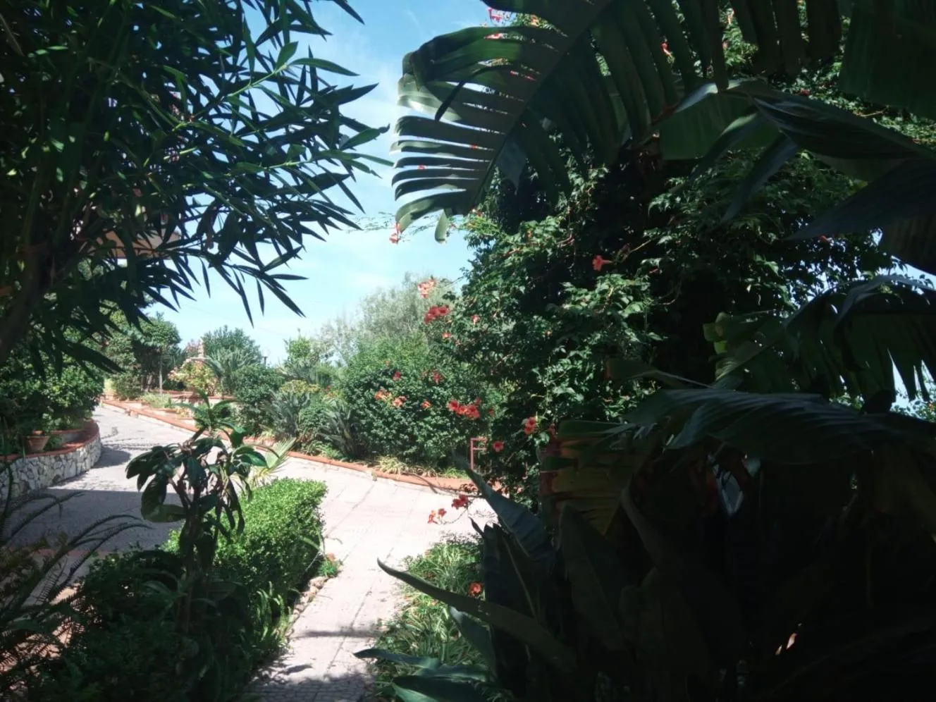 Garden in Stanza in Villa con giardino vista mare