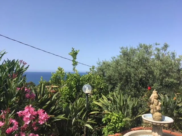 Garden in Stanza in Villa con giardino vista mare