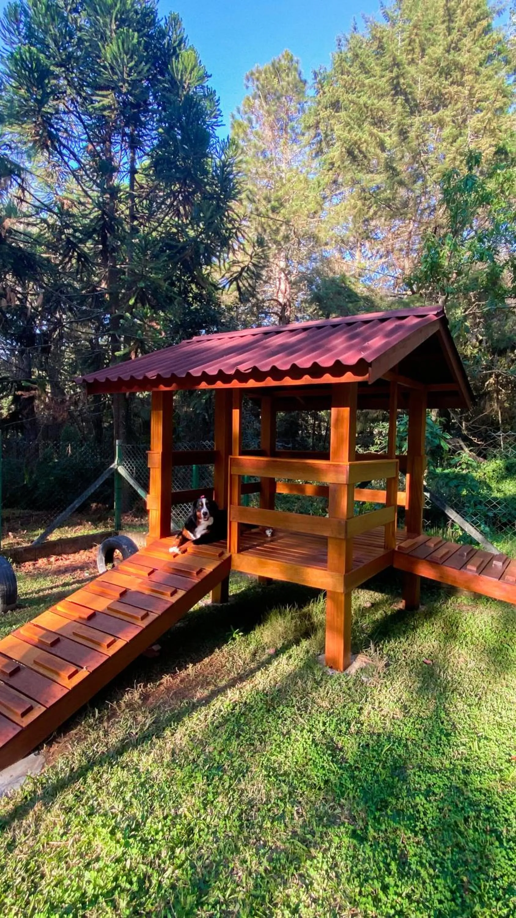 Pets in Pousada O Cantinho da Raposa