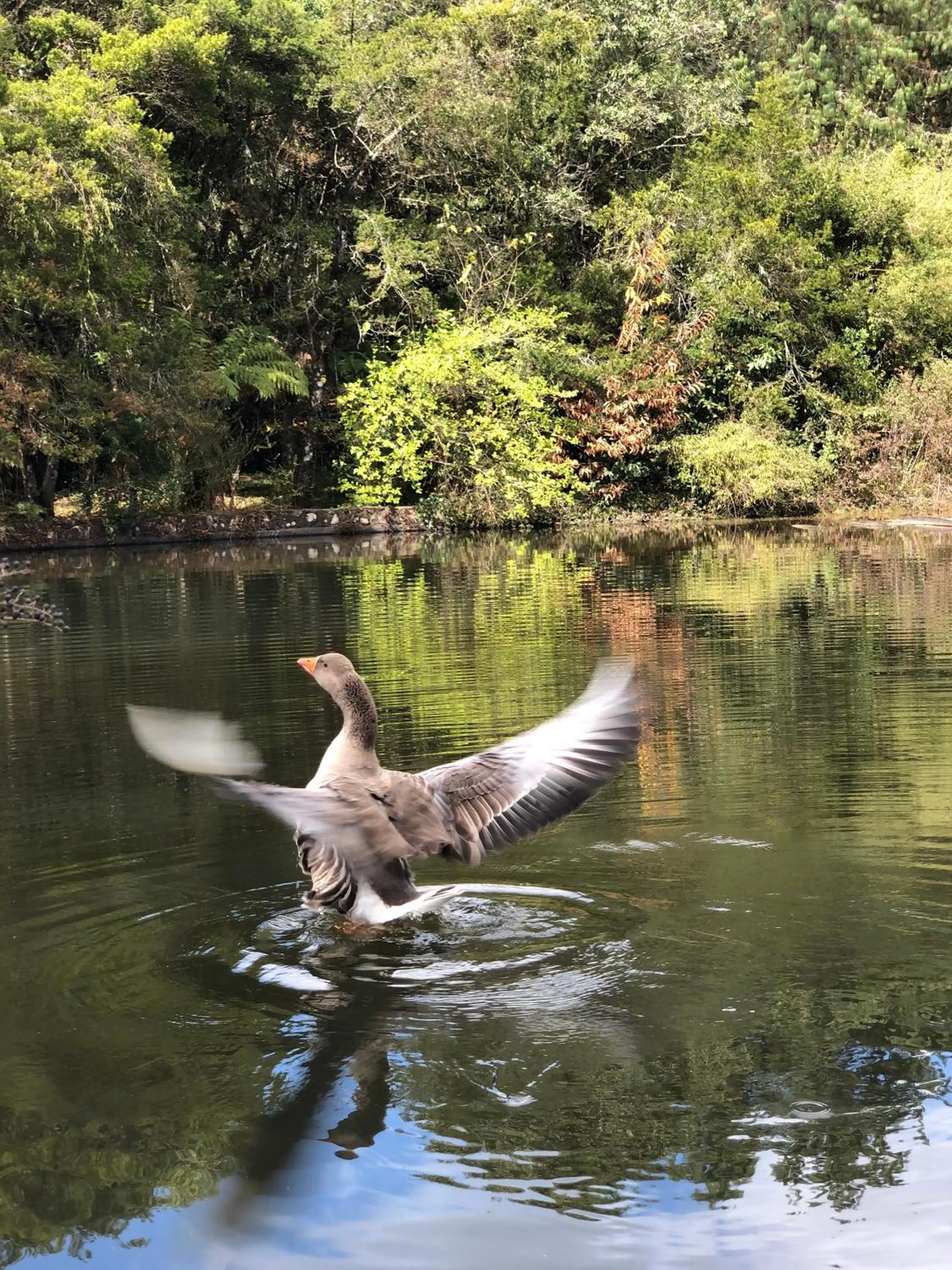 Nearby landmark in Pousada O Cantinho da Raposa