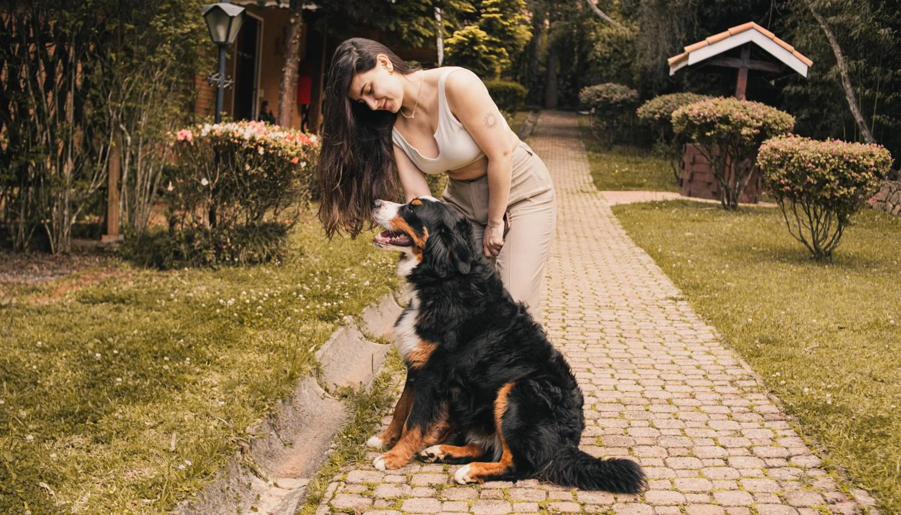 Day in Pousada O Cantinho da Raposa