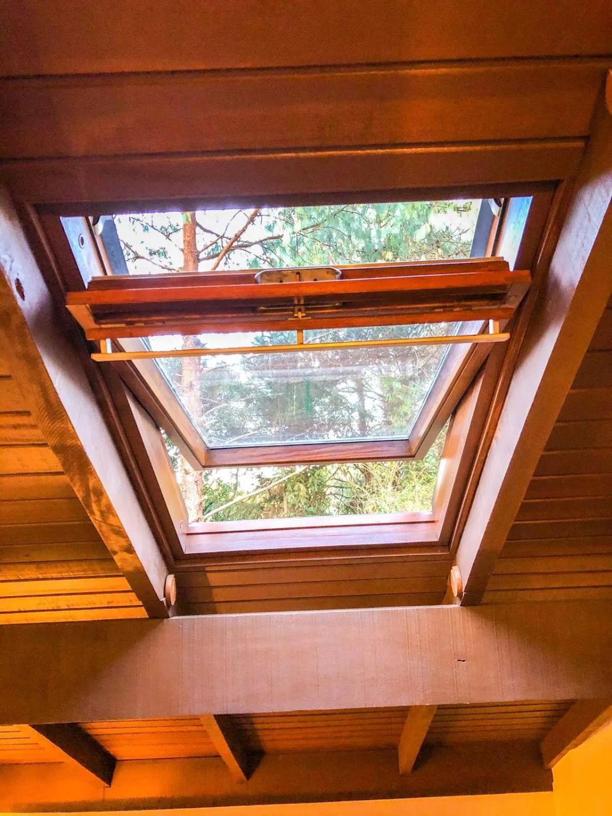 View (from property/room) in Pousada O Cantinho da Raposa