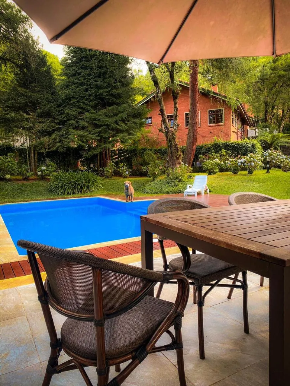 Patio in Pousada O Cantinho da Raposa