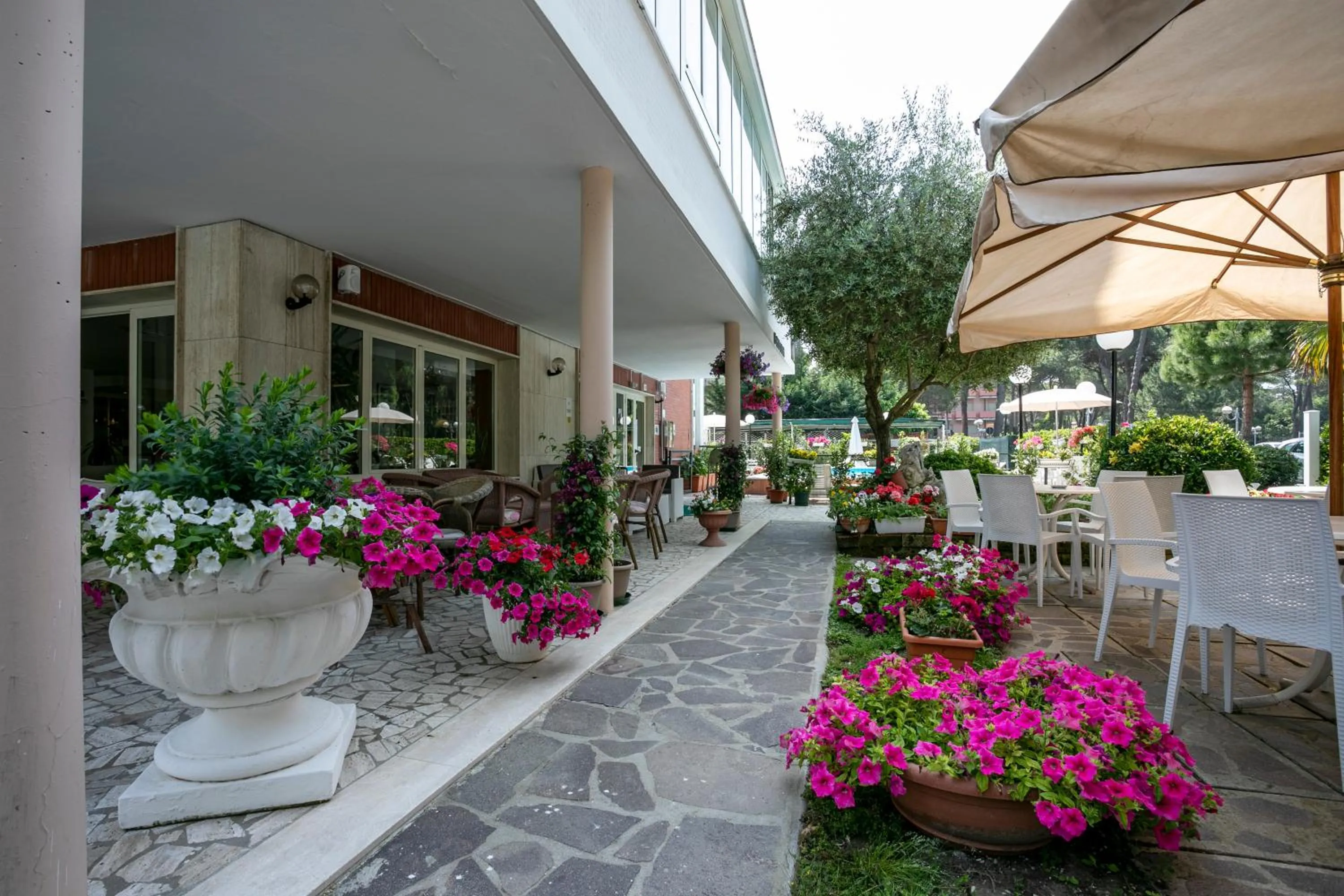 Garden in Hotel Ridolfi