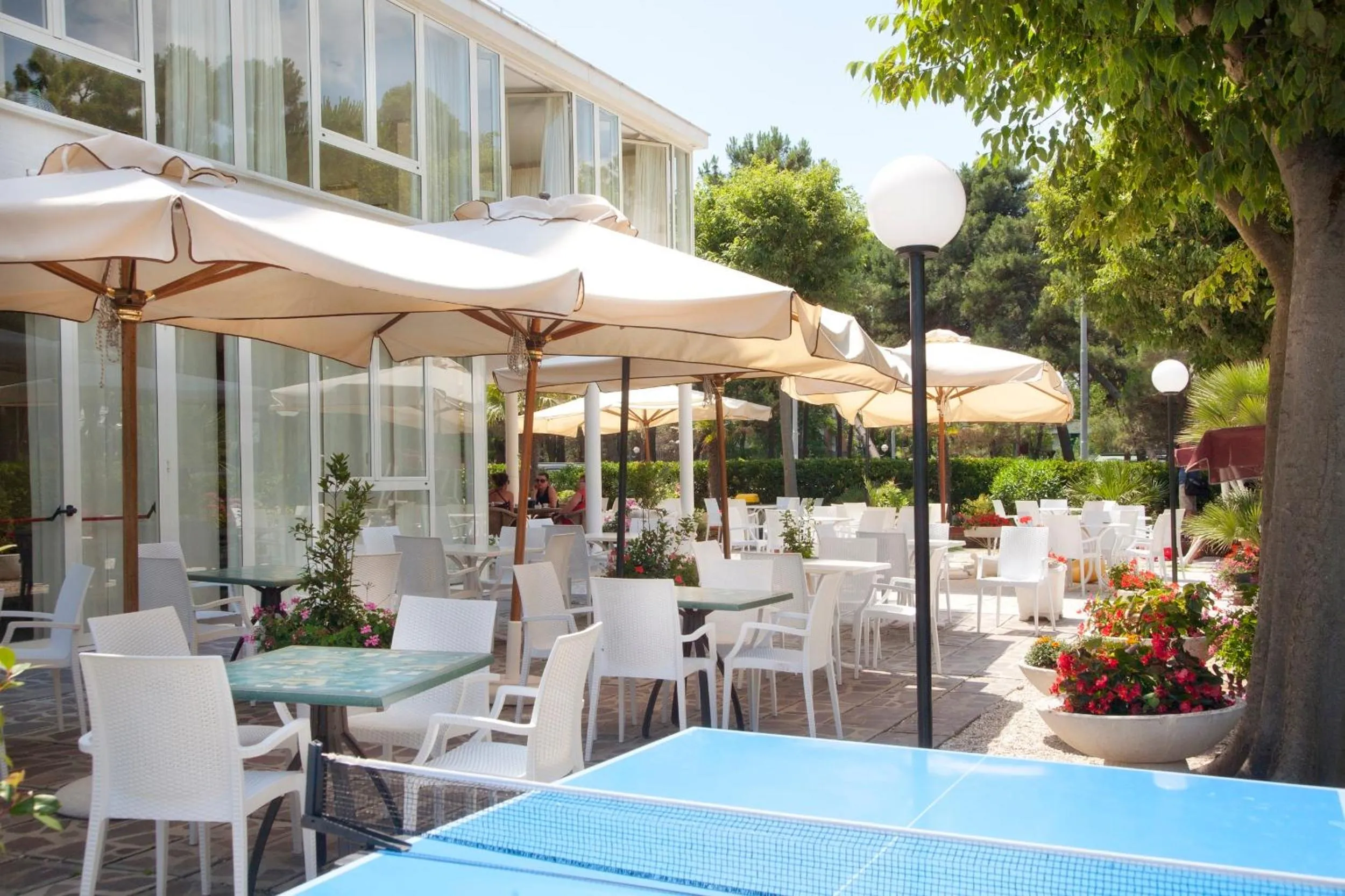 Table tennis in Hotel Ridolfi