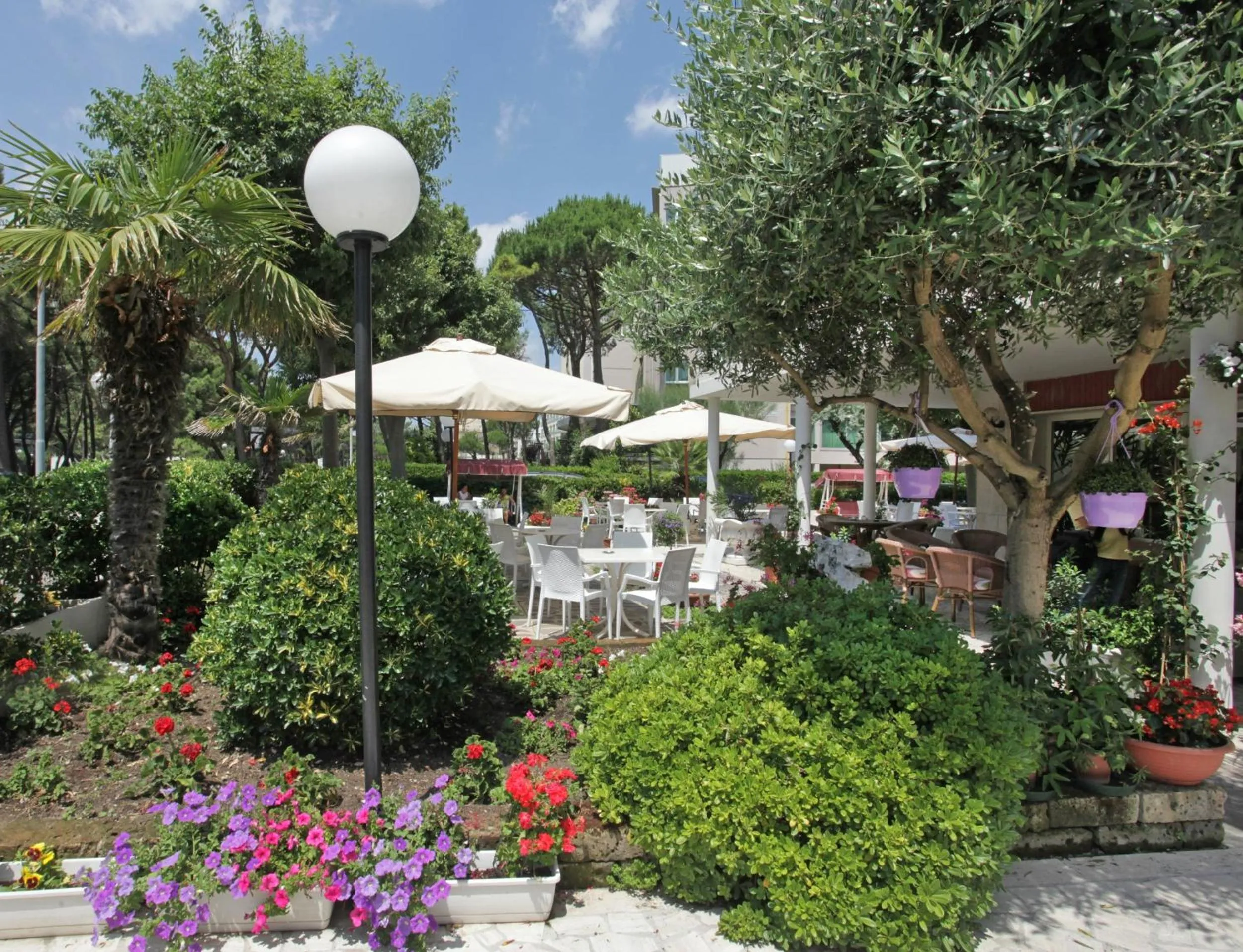 Garden in Hotel Ridolfi