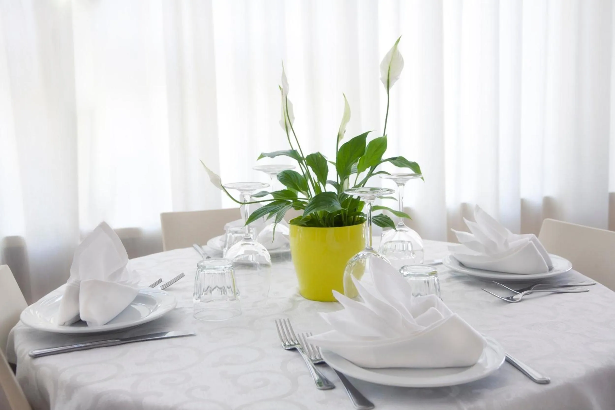 Restaurant/places to eat in Hotel Ridolfi