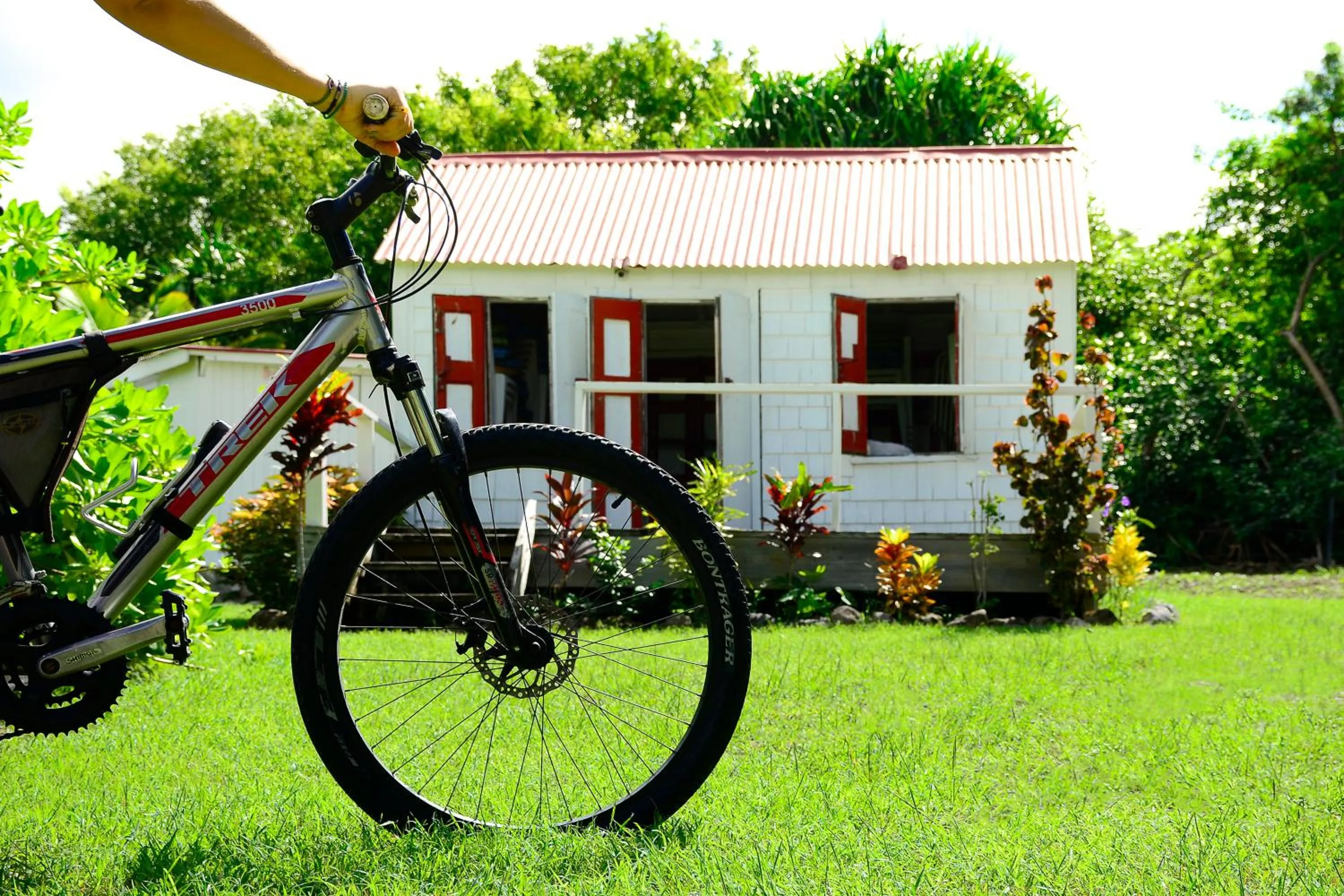 Beach in Montpelier Nevis