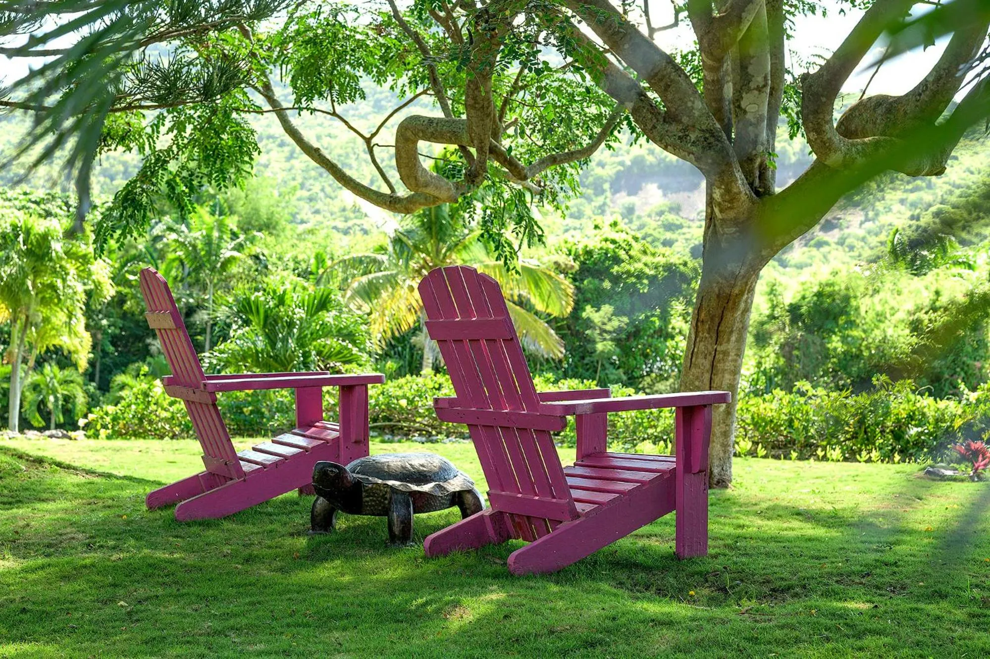 Garden in Montpelier Nevis