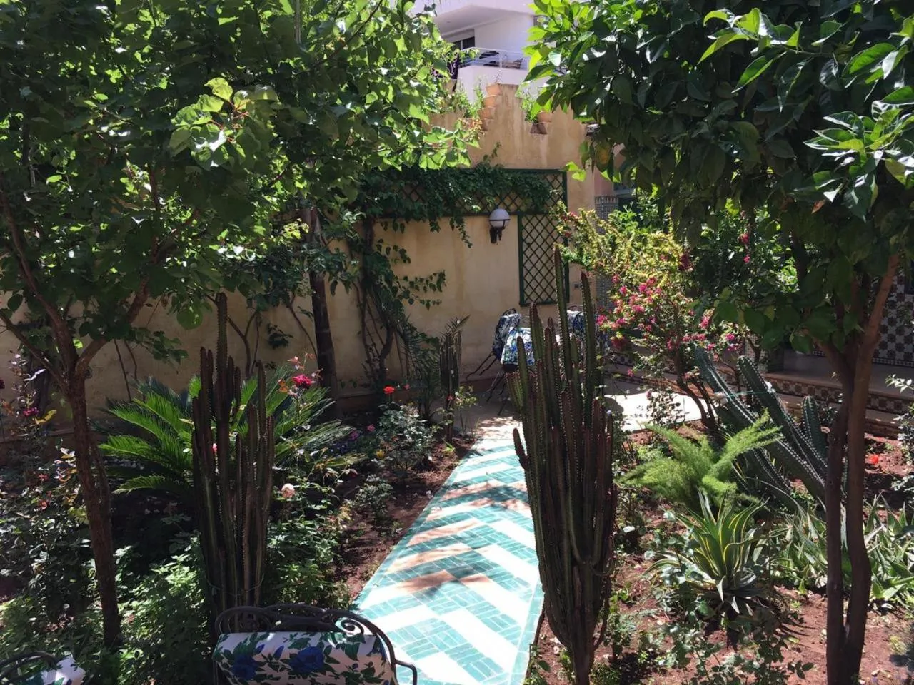Garden in Riad Dar Ziryab