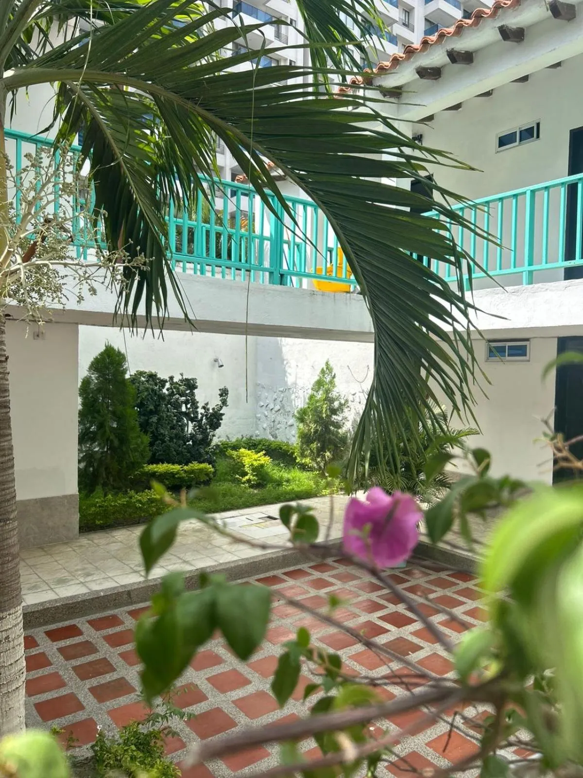 Garden in Hotel Los Veleros Santa Marta