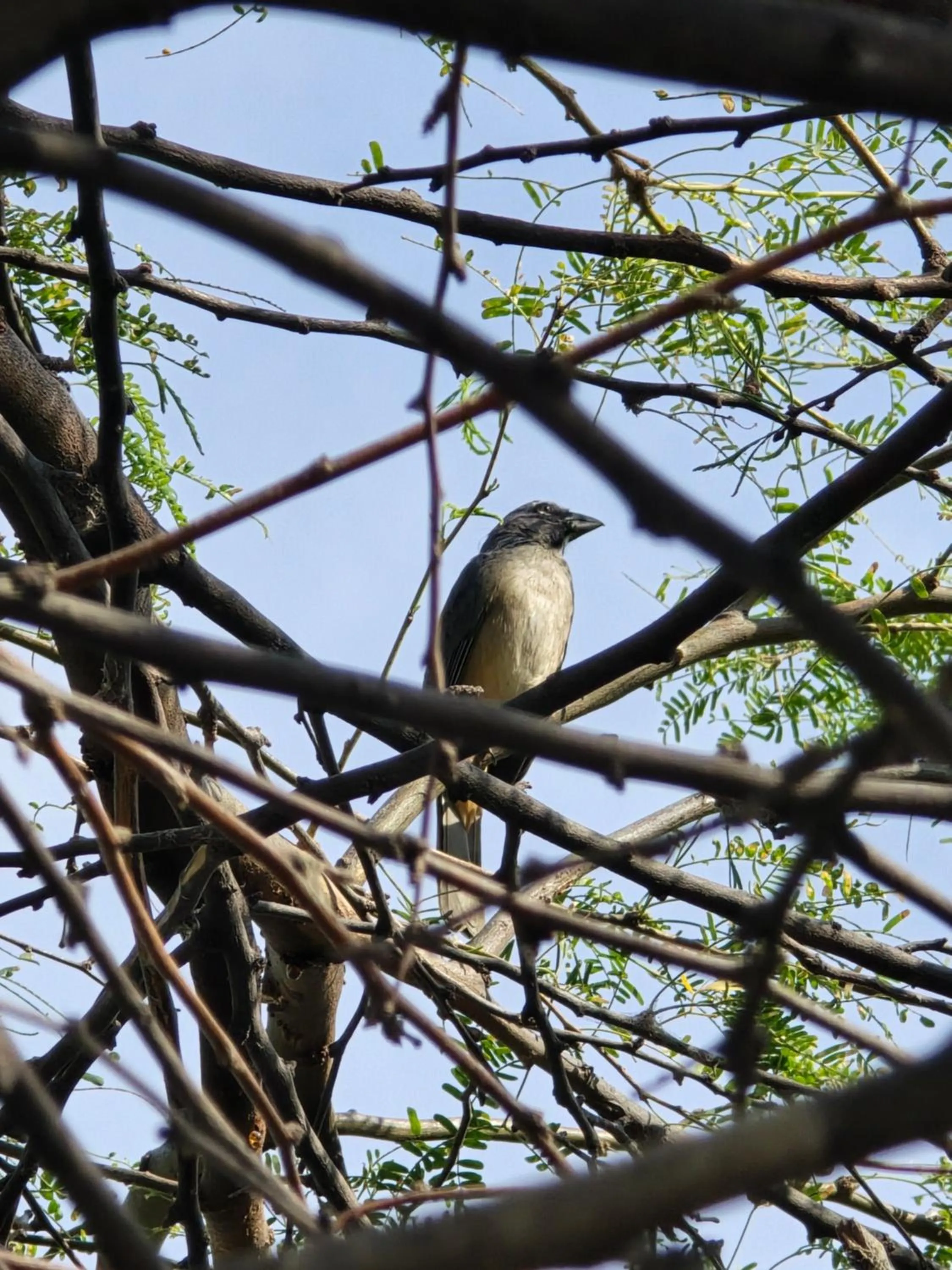 Natural landscape in Hotel Los Veleros Santa Marta