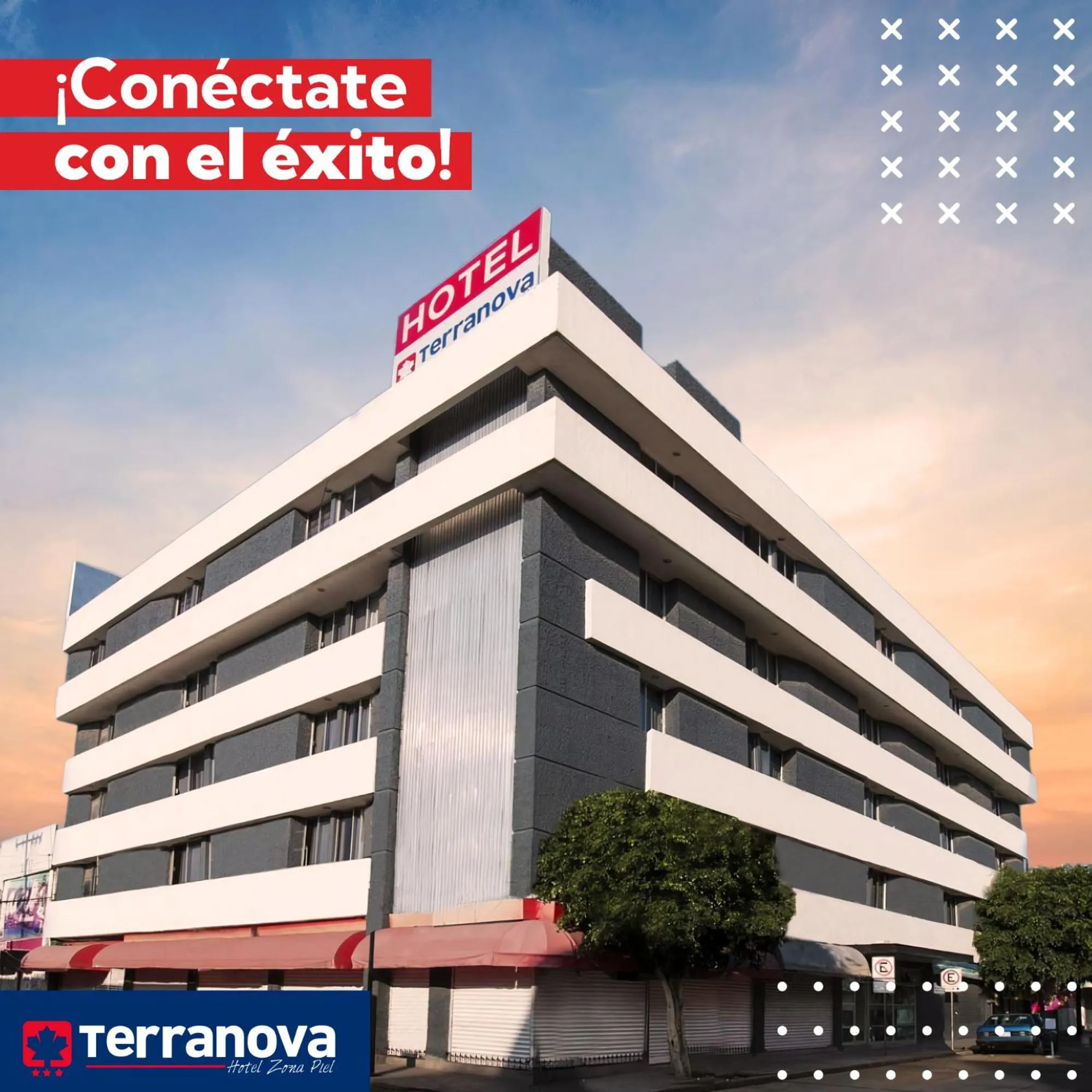 Property building in Hotel Terranova