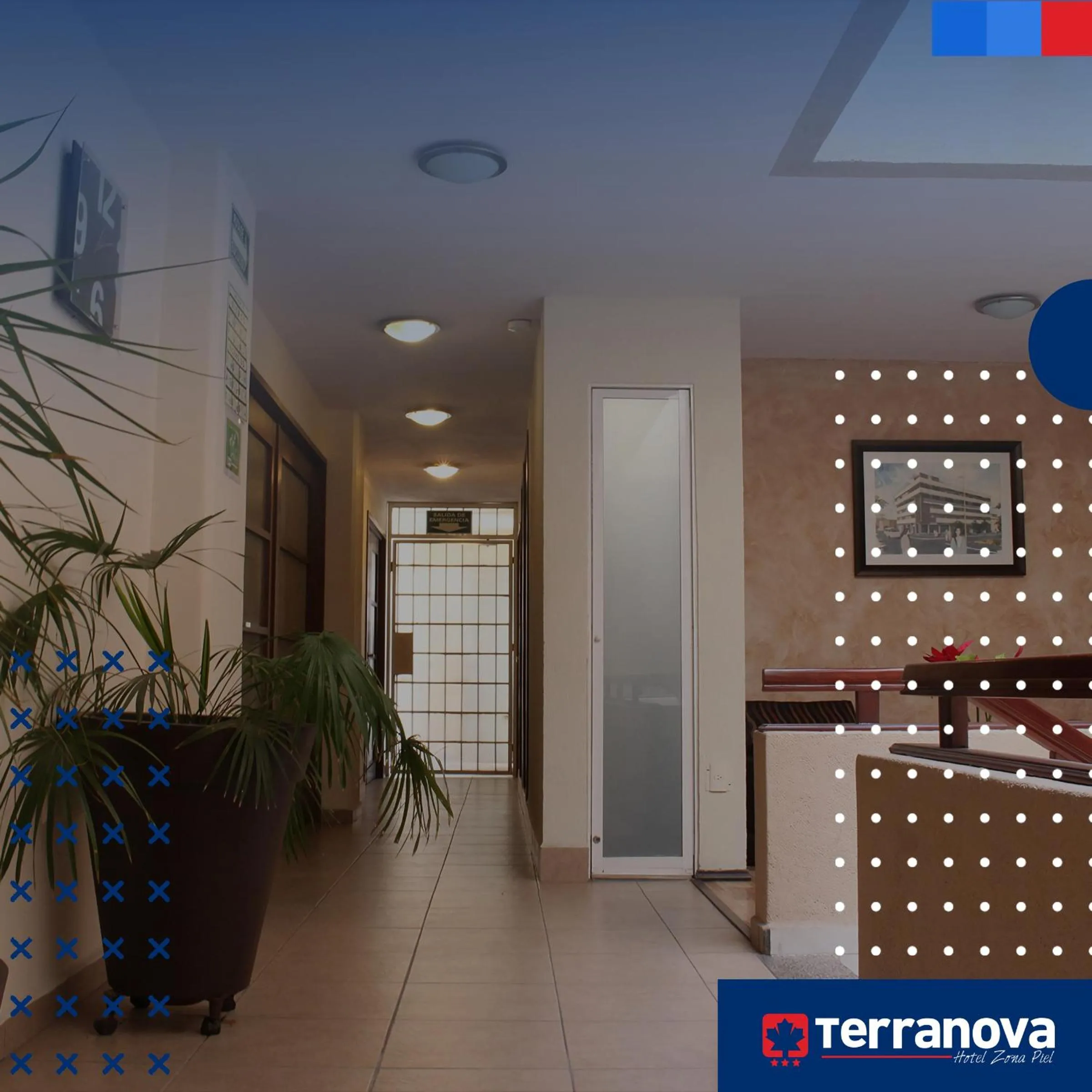 Property building in Hotel Terranova