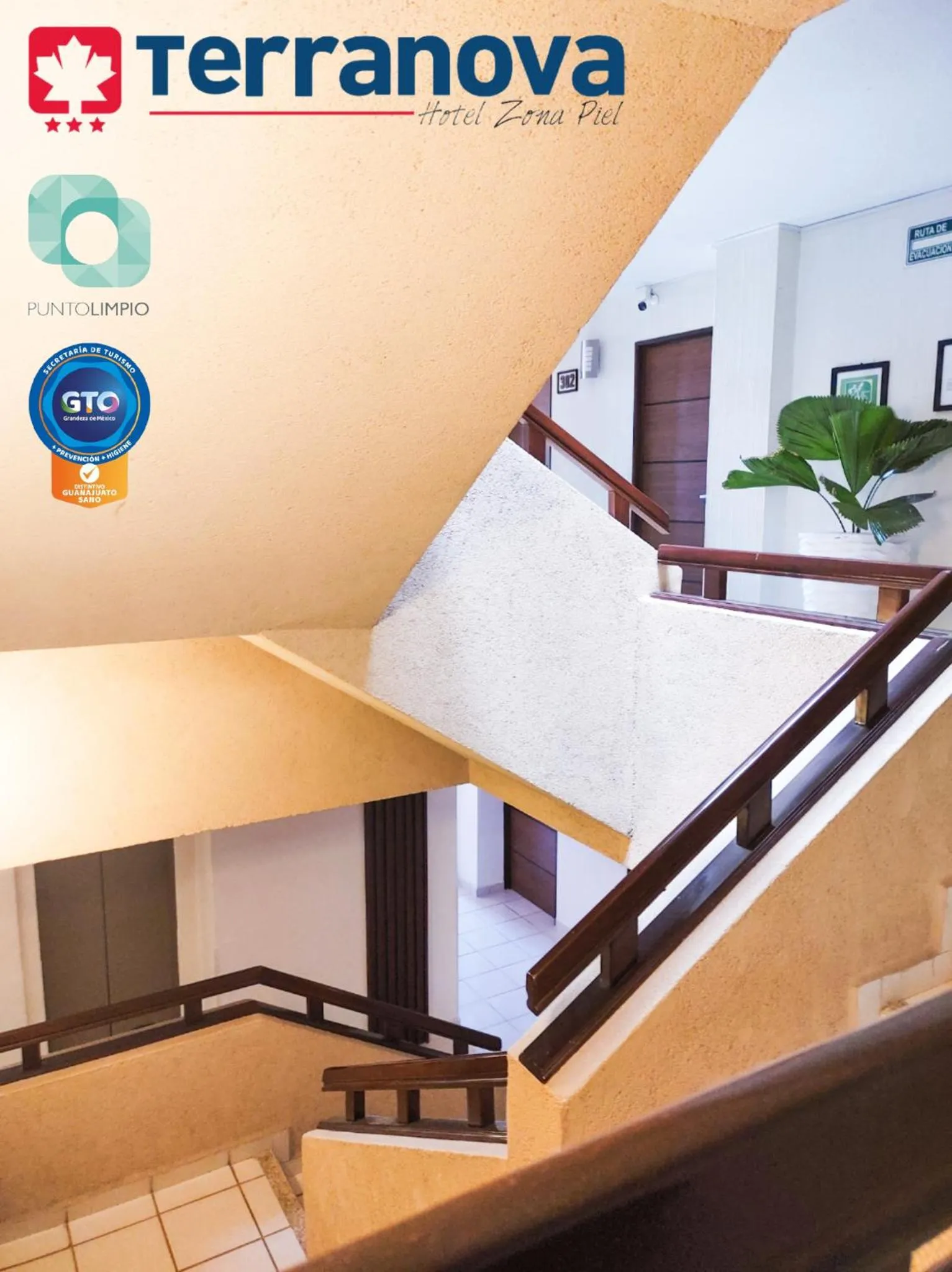 Area and facilities in Hotel Terranova