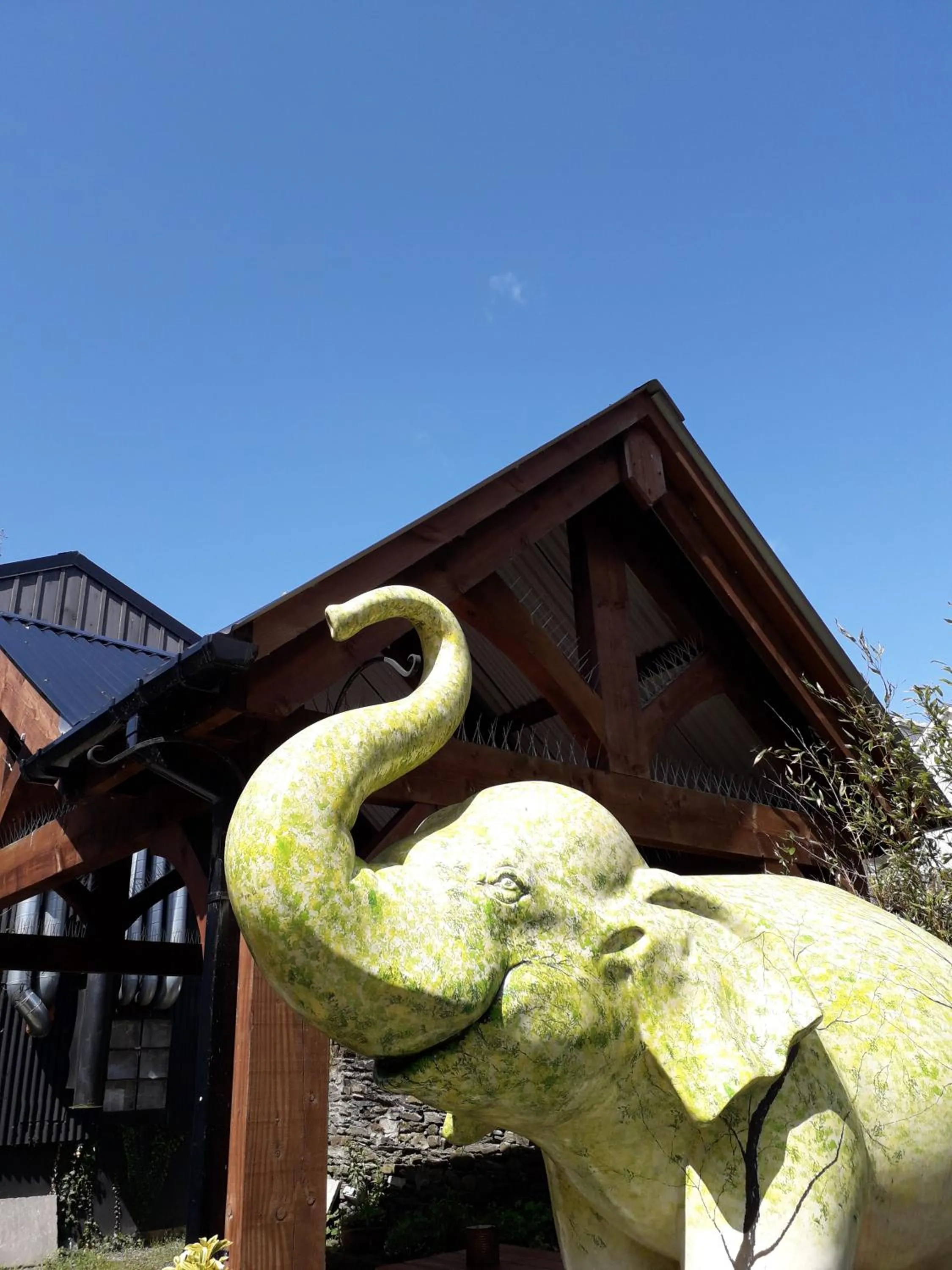 Property Building in Melrose B&B