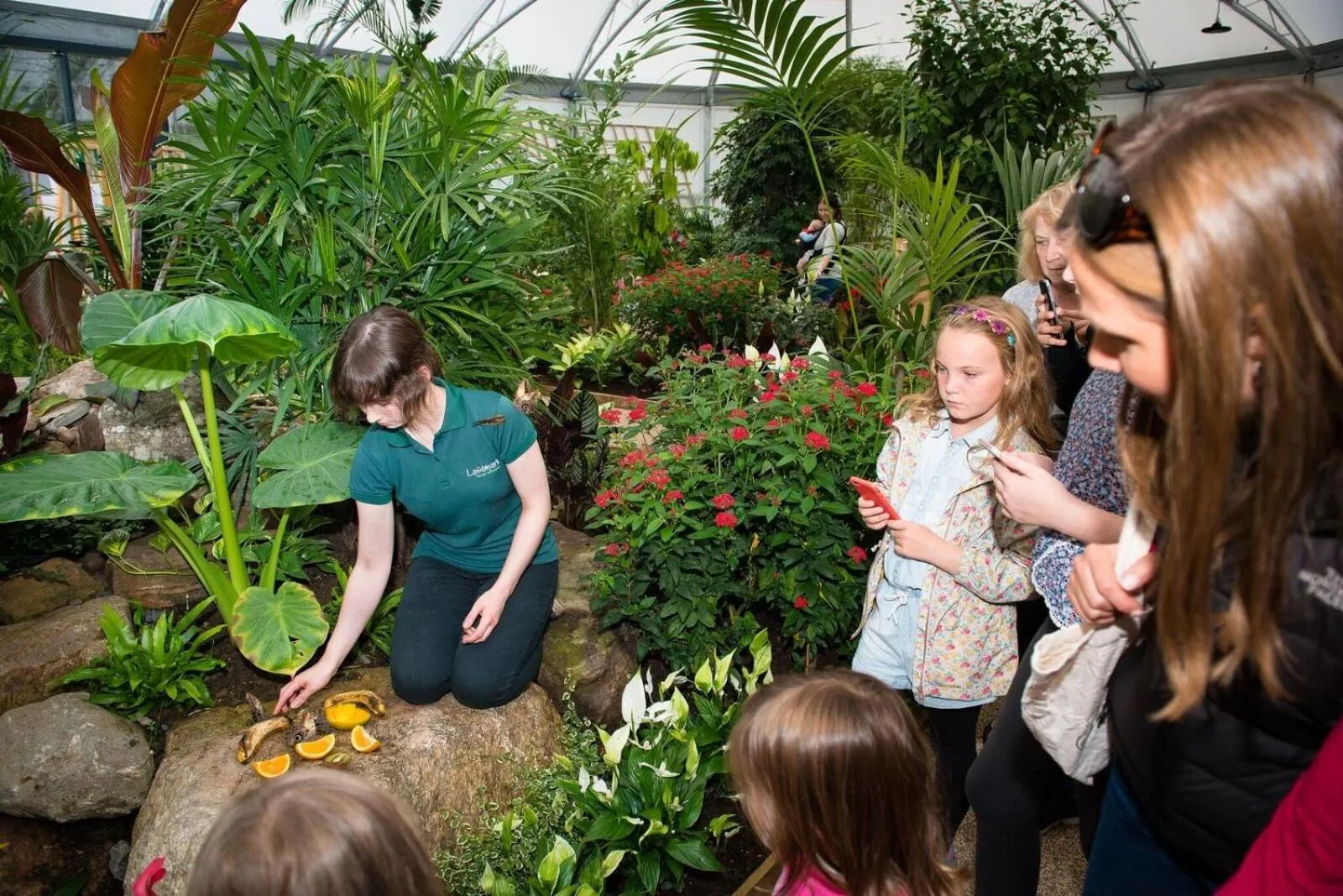 Animals in Macdonald Aviemore Hotel at Macdonald Aviemore Resort