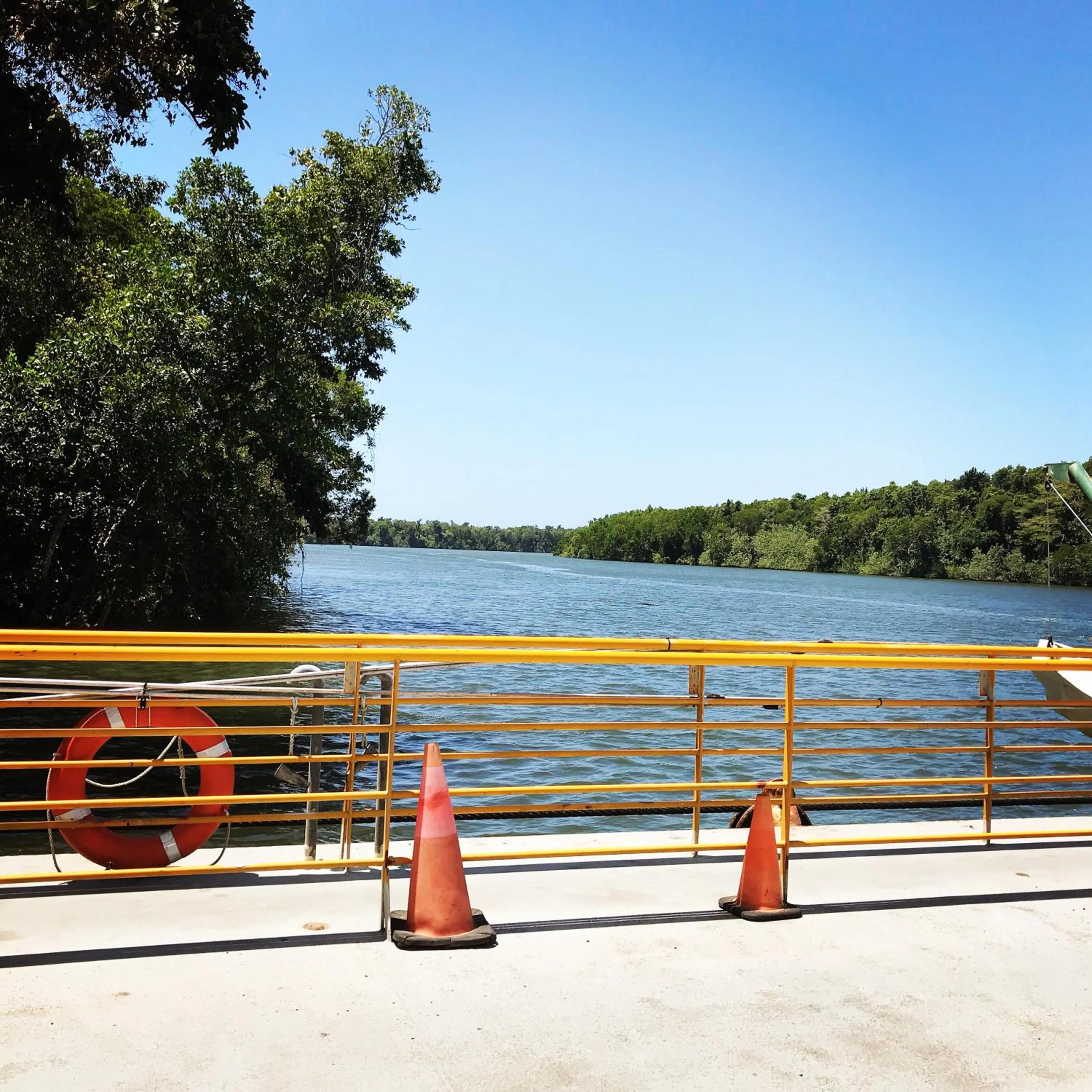 River view in Daintree Crocodylus